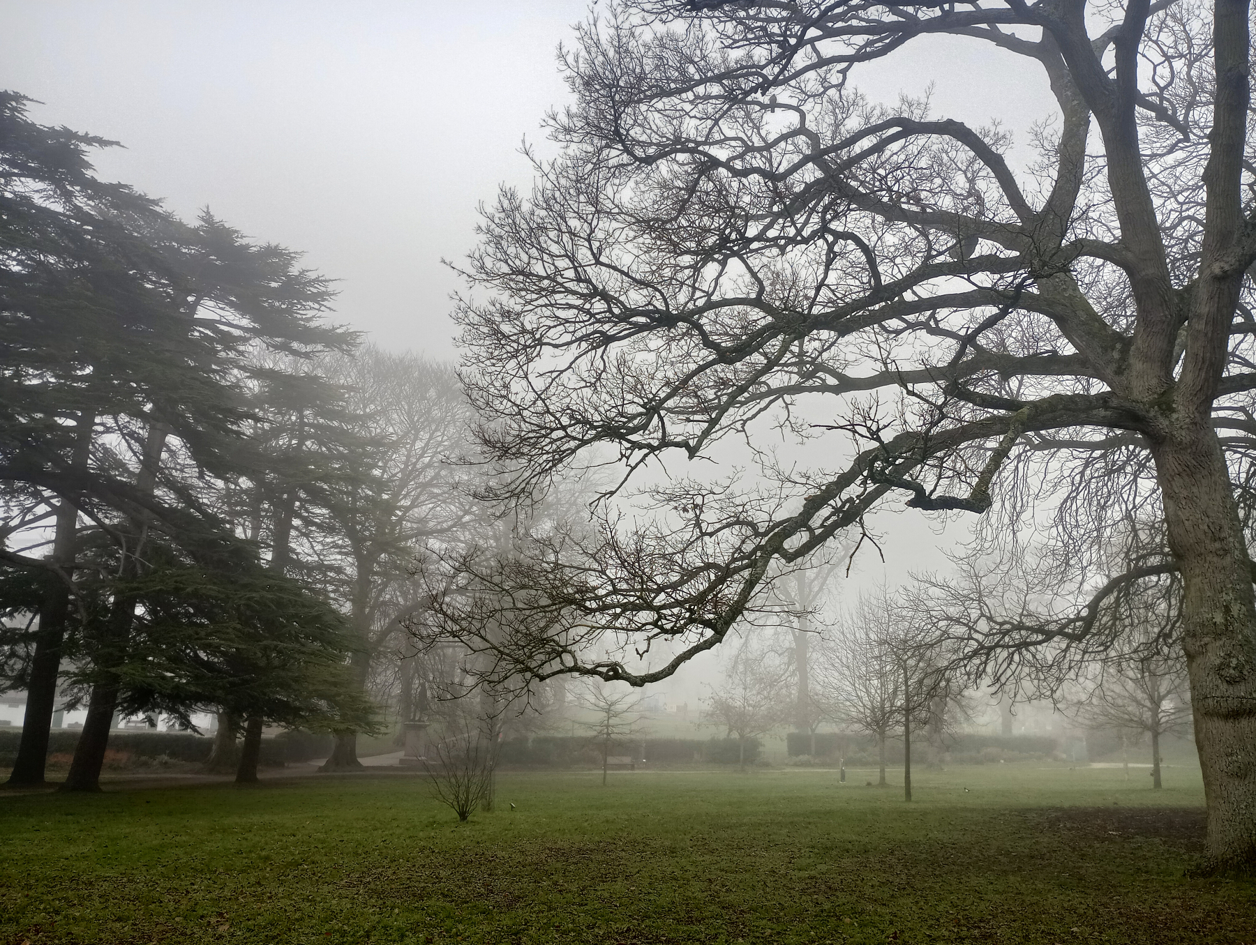 A misty landscape features bare trees and a grassy field shrouded in fog.