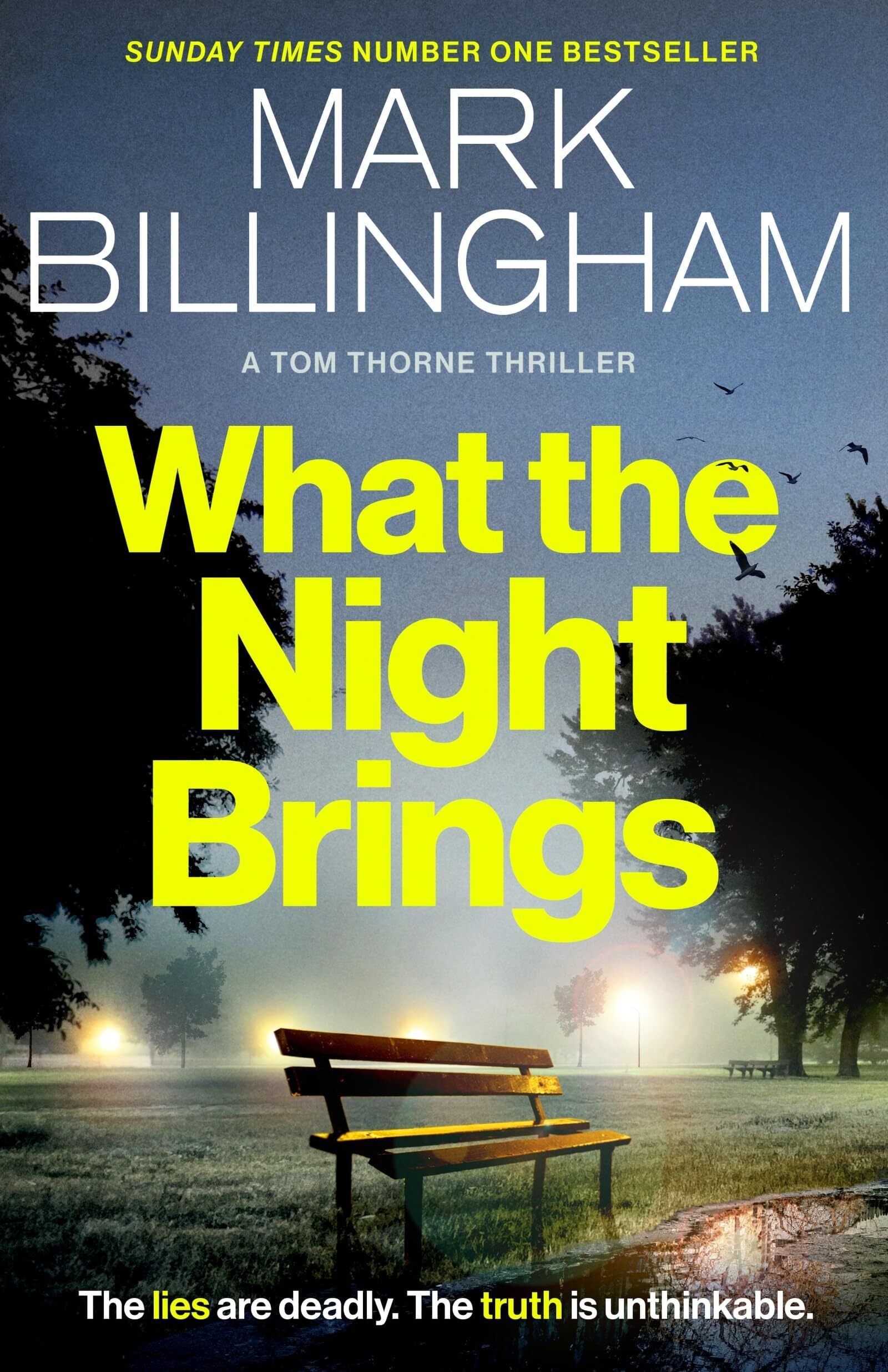 A dimly lit park with a solitary bench is featured on the cover of Mark Billingham's thriller, What the Night Brings.