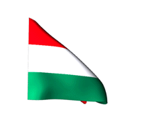 Hungarian flag