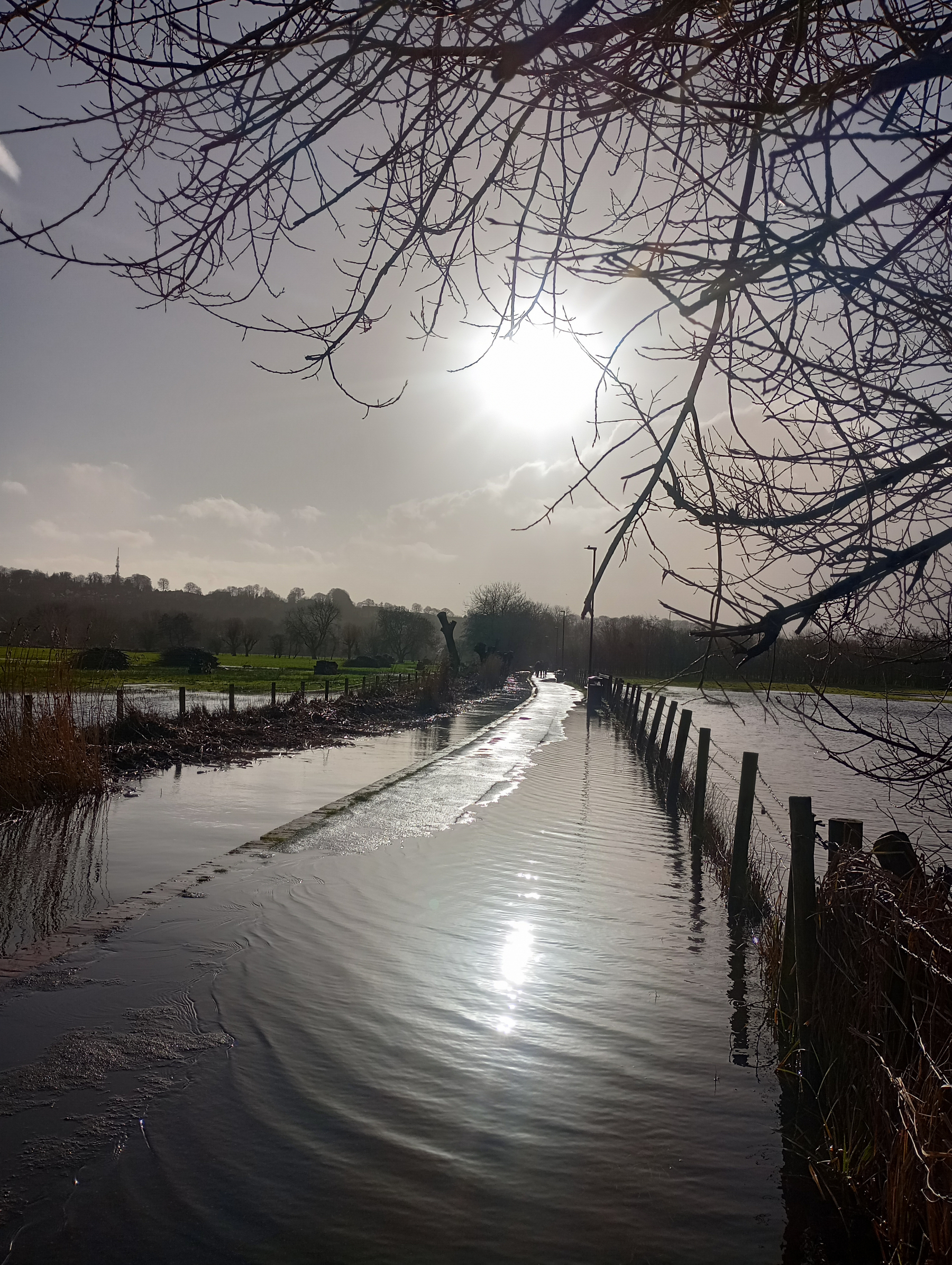 Auto-generated description: A flooded rural path stretches under a bright sun, bordered by a fence and overhung by bare tree branches.