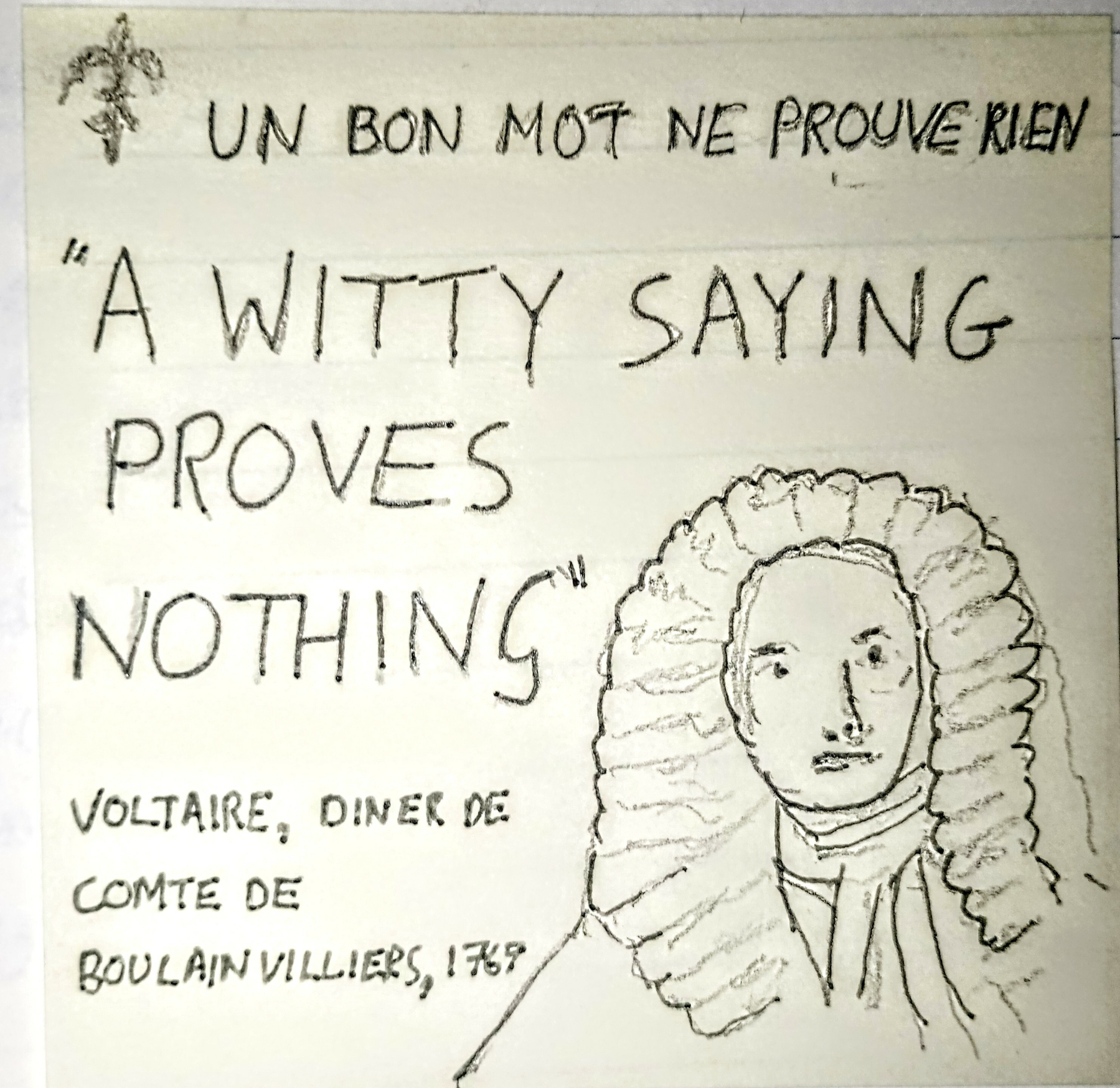 A sketched figure is accompanied by the quote "A witty saying proves nothing", attributed to Voltaire, with text in French stating Un bon mot ne prouve rien.