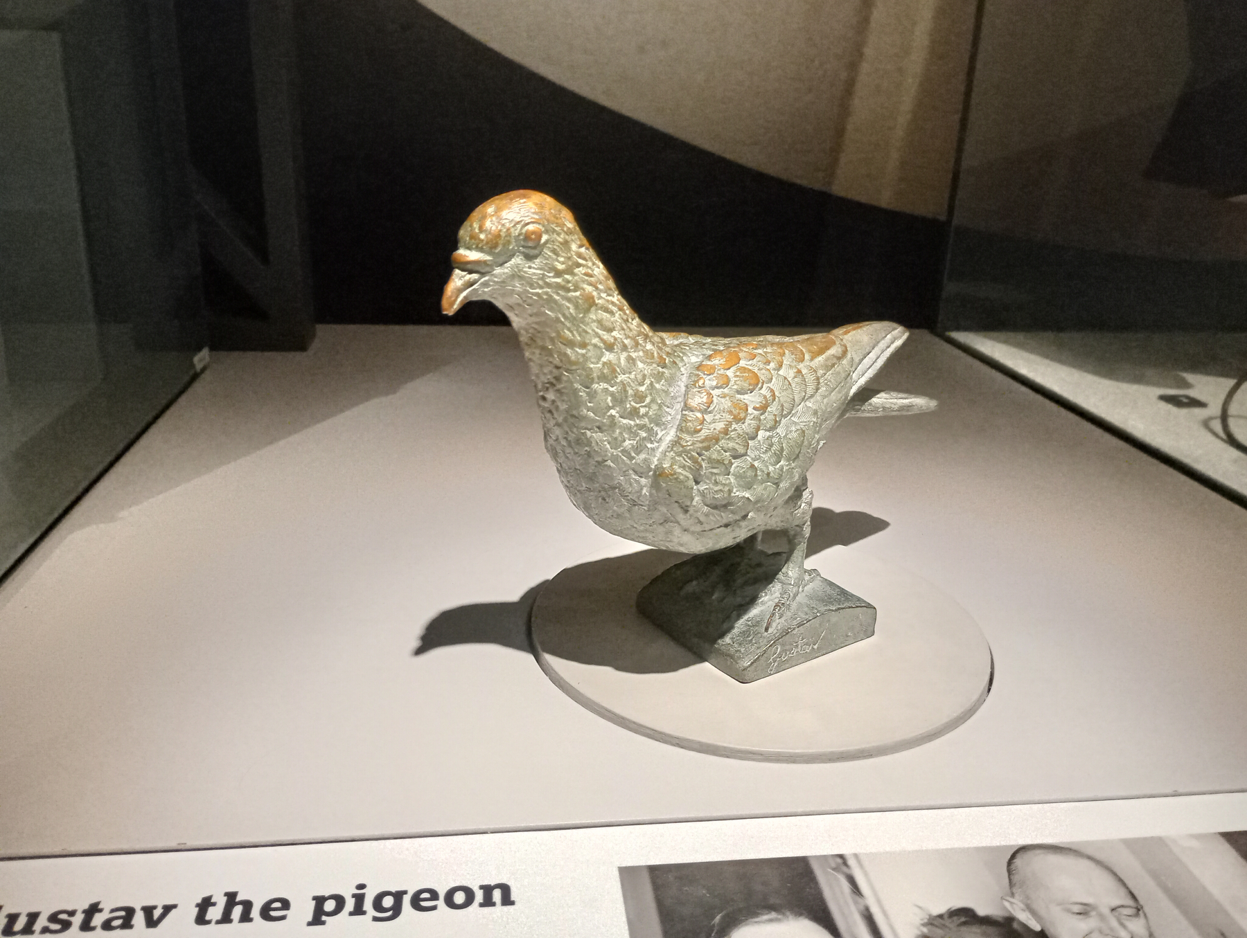 A small metallic sculpture of a pigeon, partly gold-colored, is displayed on a circular base inside a glass case.