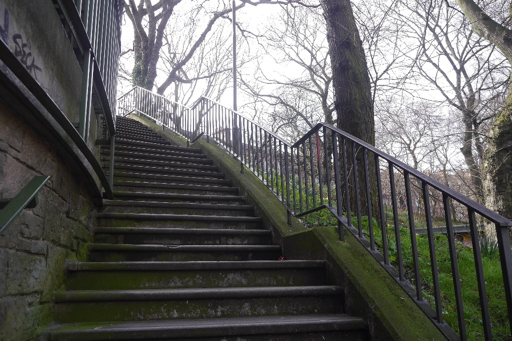 A moss-covered stone staircase with metal railings leads upward through a park area with leafless trees.