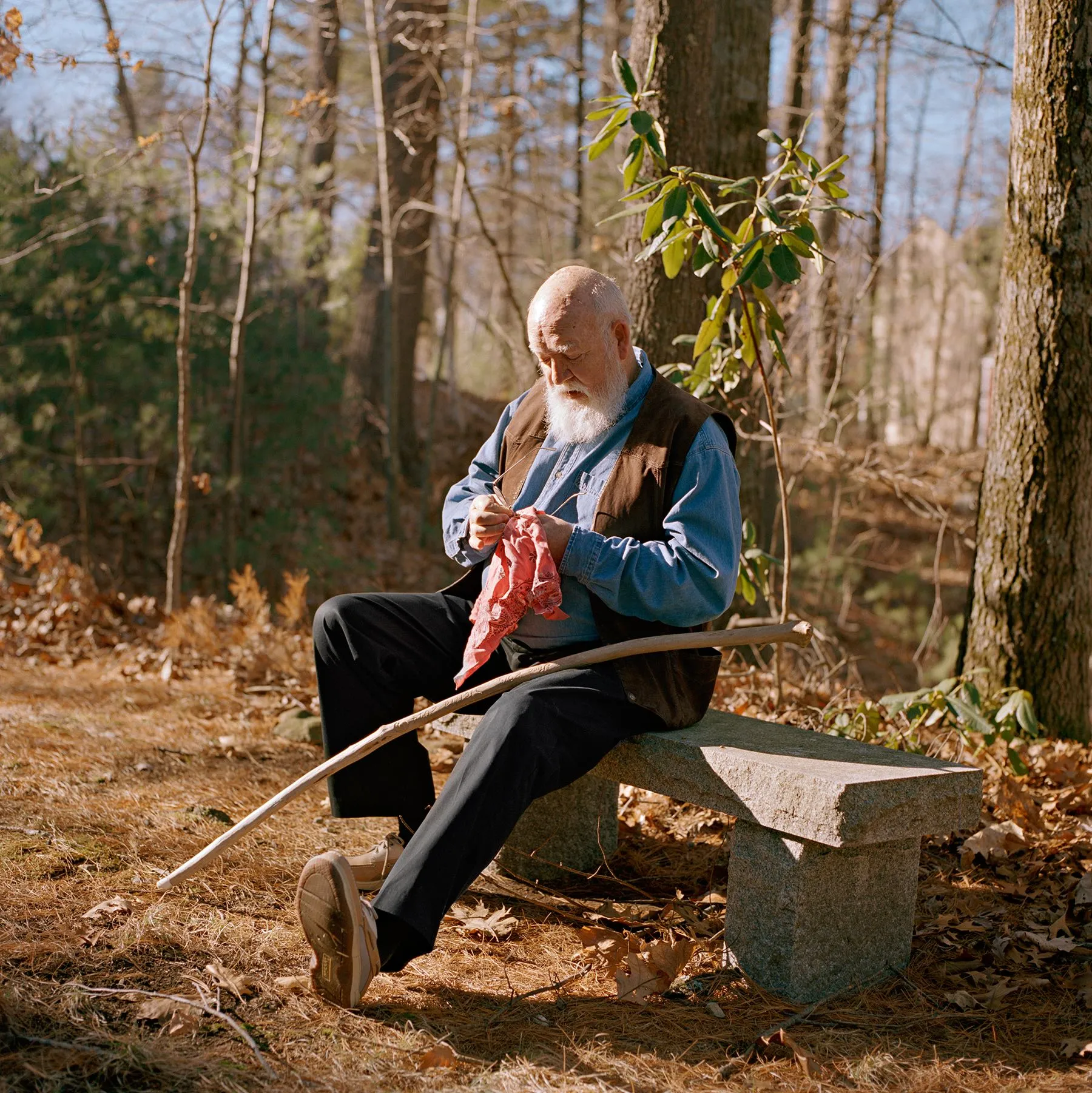 Daniel Dennett sitting in the woods, cleaning his glasses