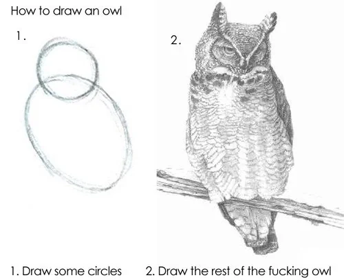 Draw the rest of the fucking owl meme