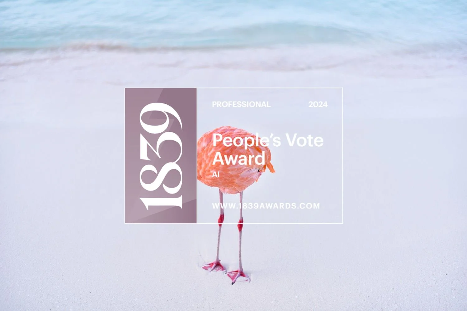 Flamingo on a sandy beach with an award text overlay