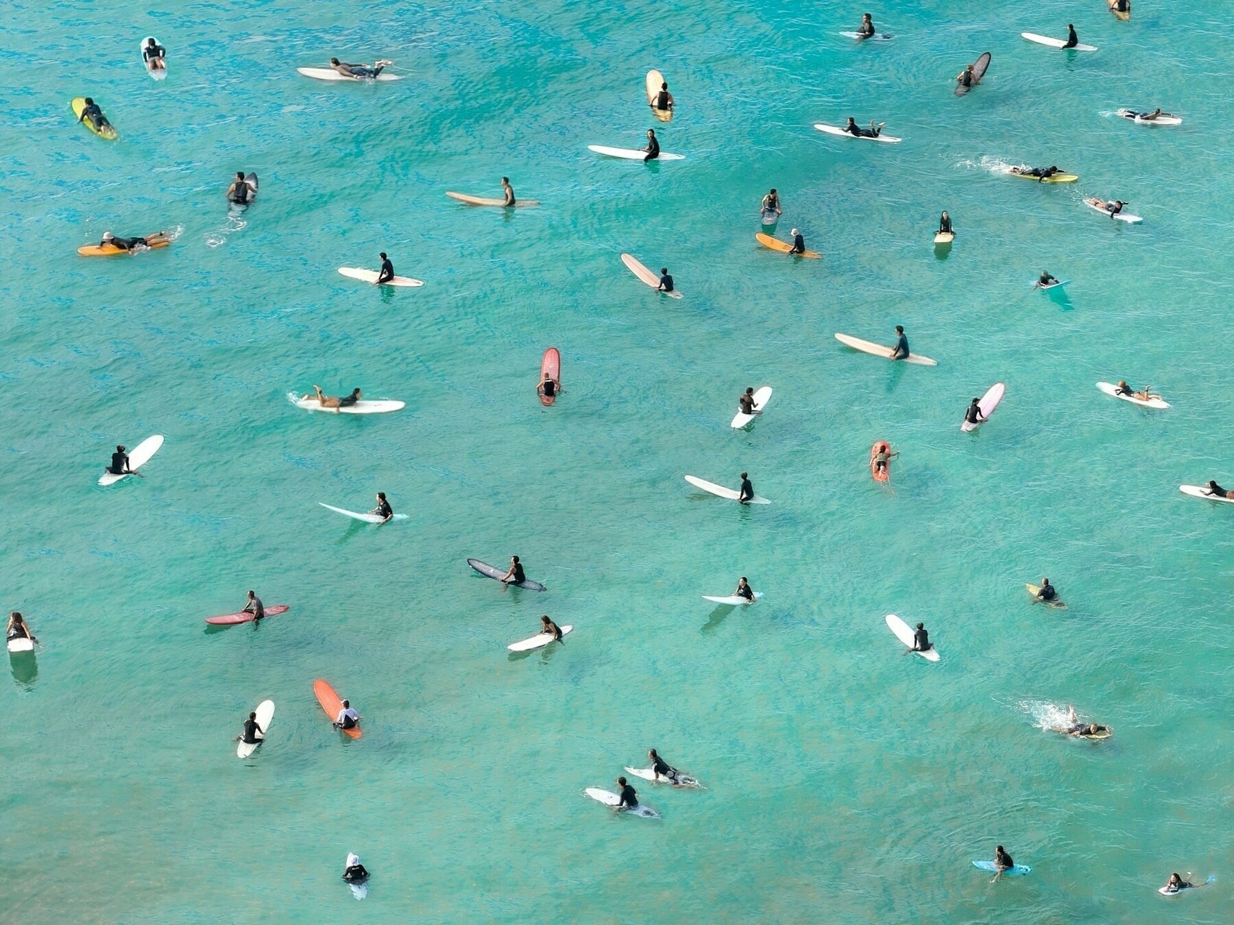Auto-generated description: Numerous surfers spread out across clear blue water, each with a surfboard, waiting to catch waves.