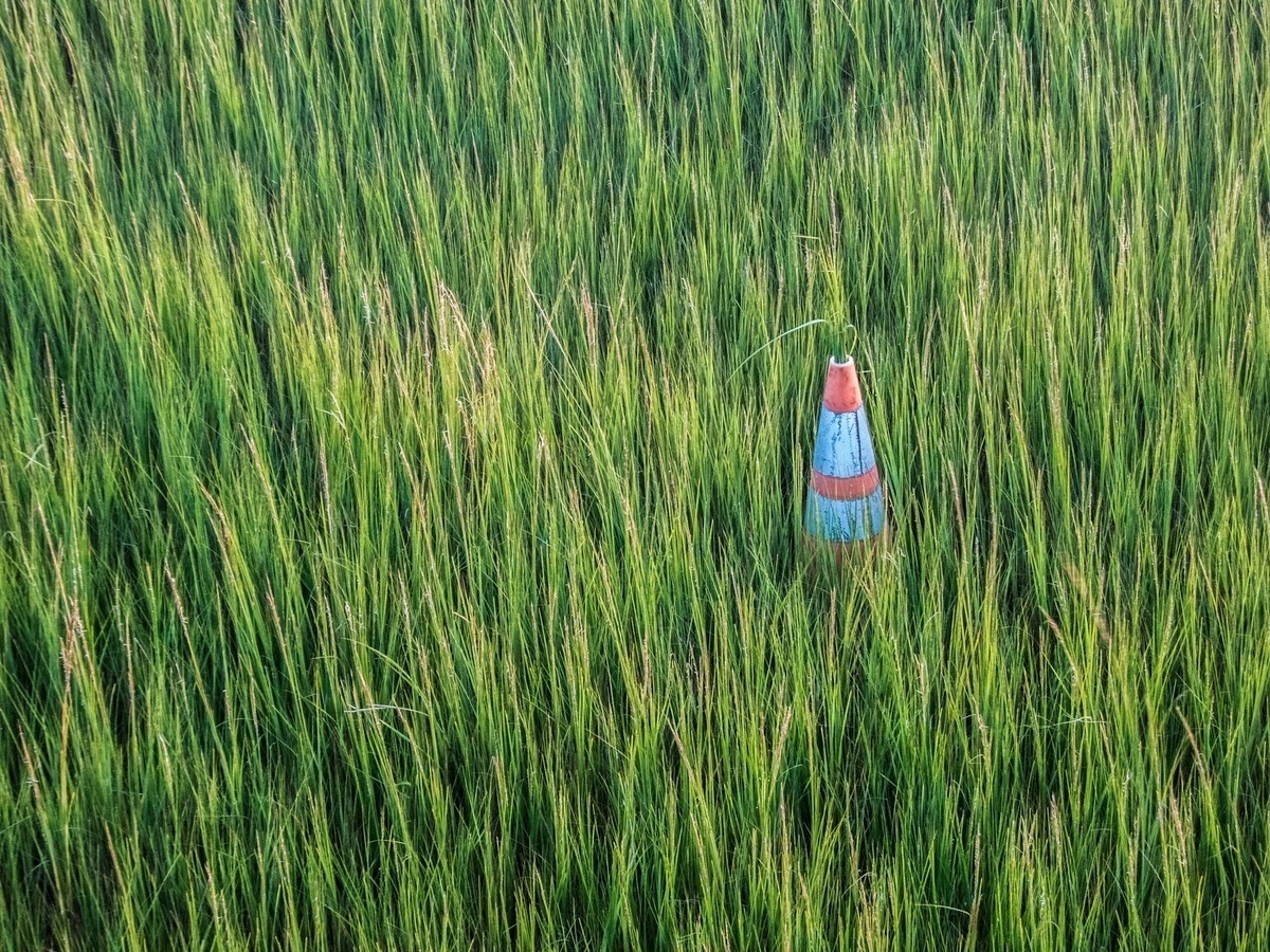 Traffic cone in long grass