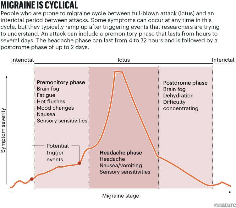 Illustration showing the cyclical nature of migraines