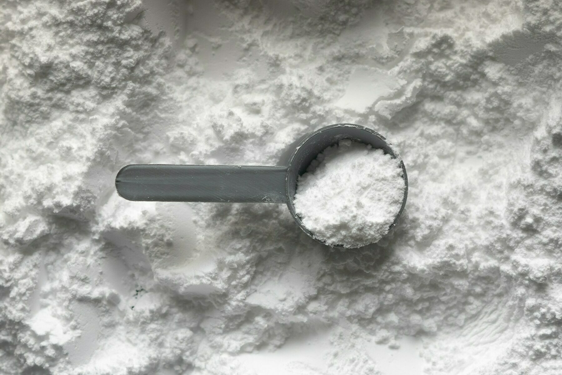 One scoop of white creatine monohydrate powder