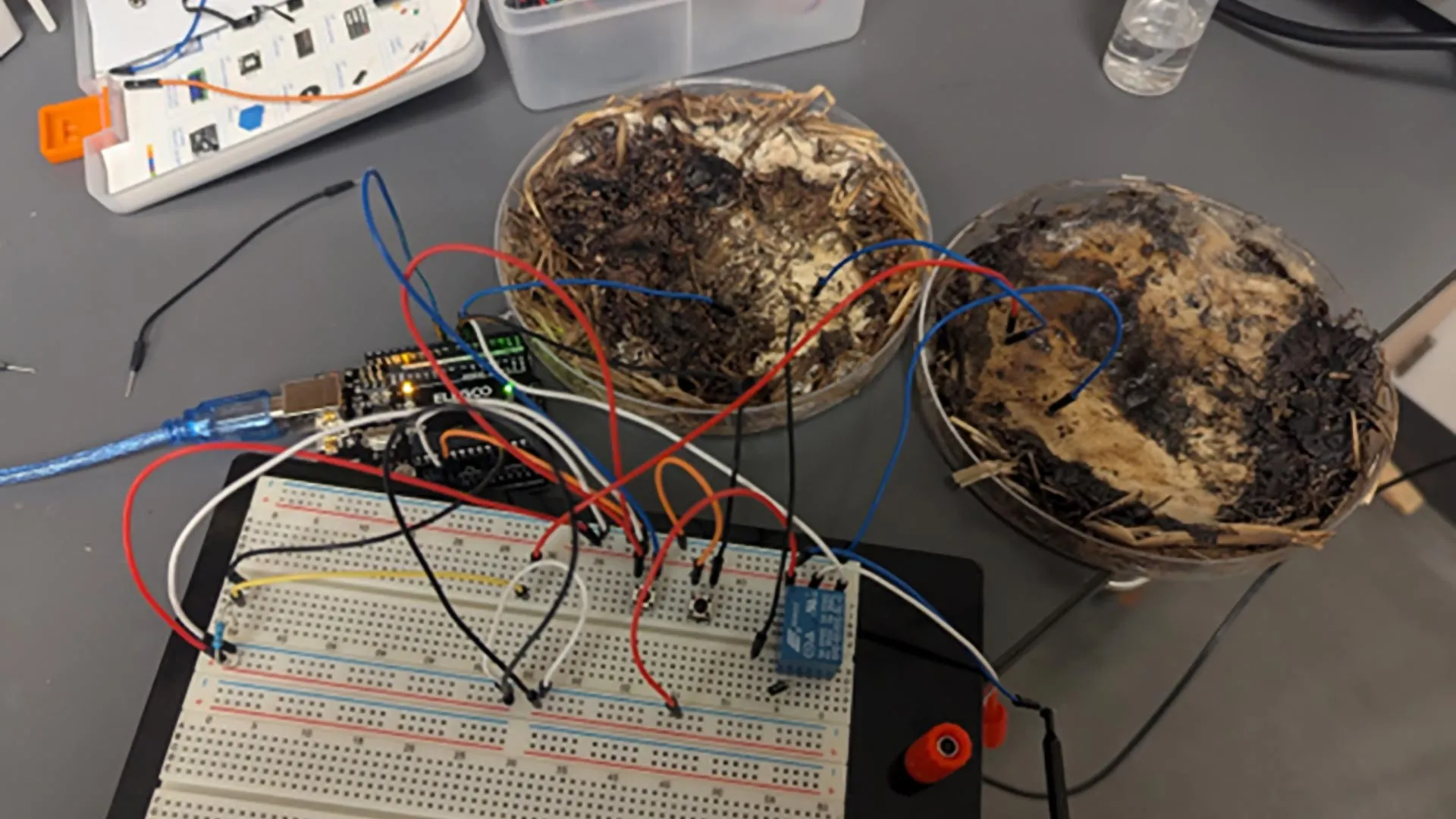 Auto-generated description: A setup featuring a breadboard with electronic components and wires connected to two containers filled with soil and organic material.