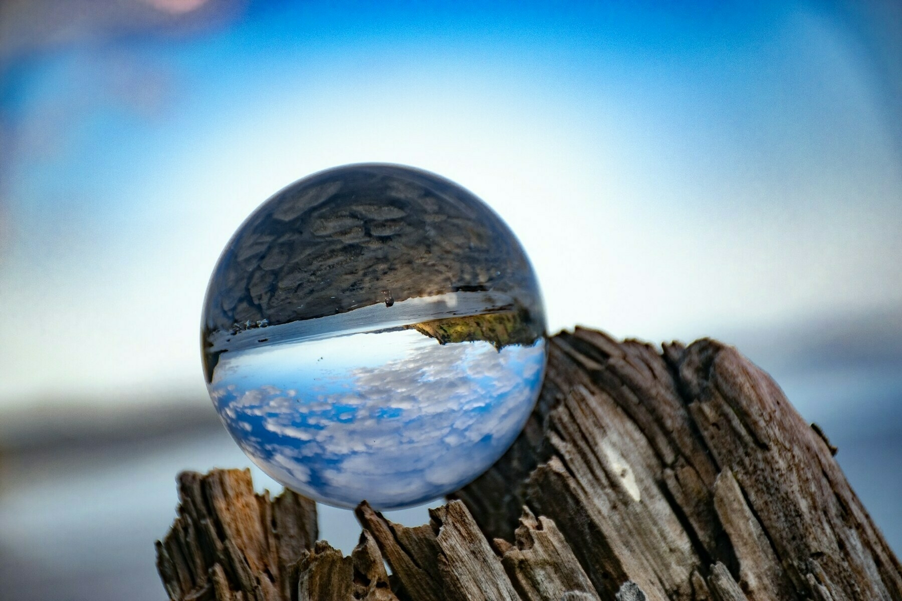 A glass sphere on a log