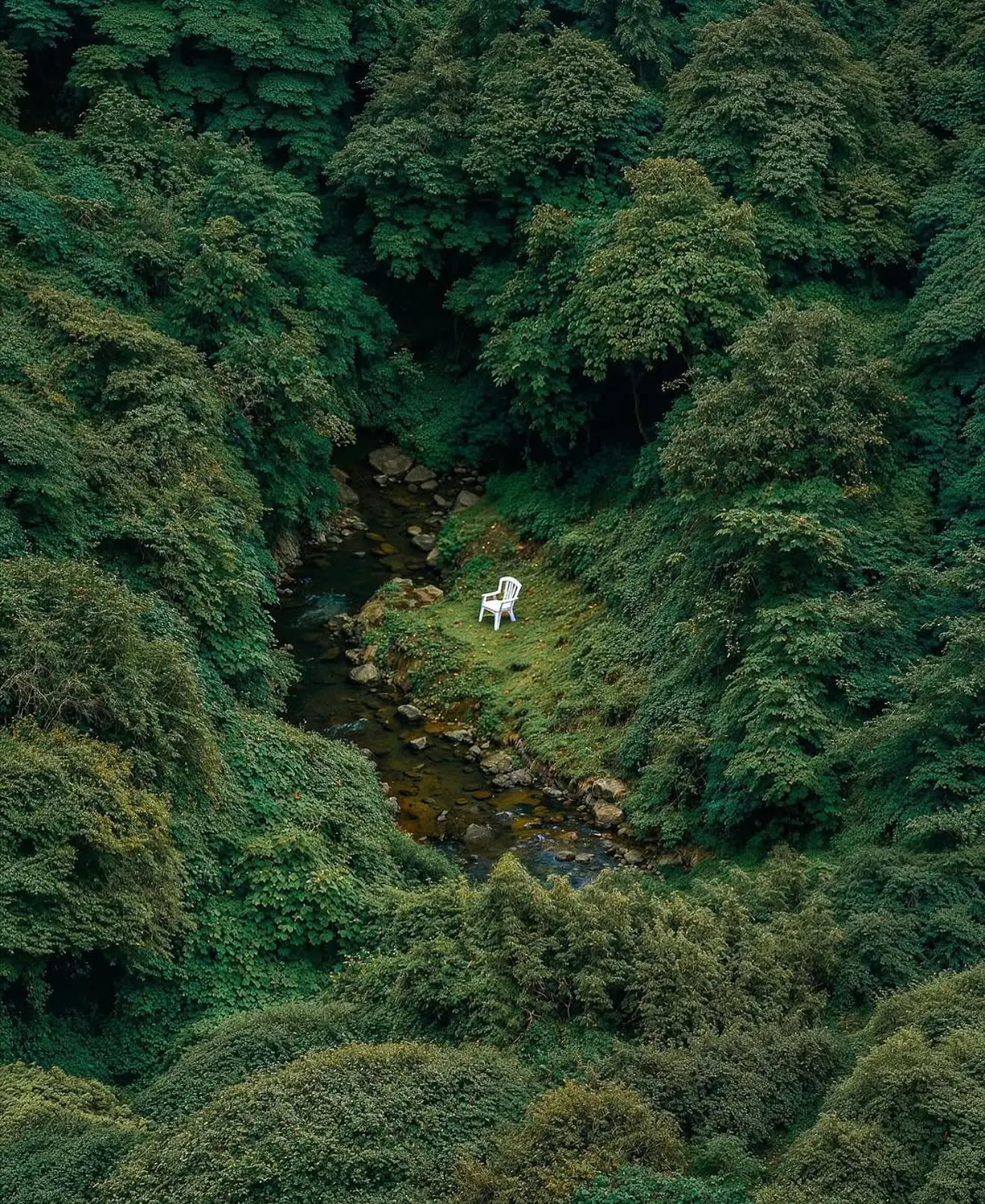 Auto-generated description: A solitary white chair is placed beside a small stream surrounded by dense, lush green trees.