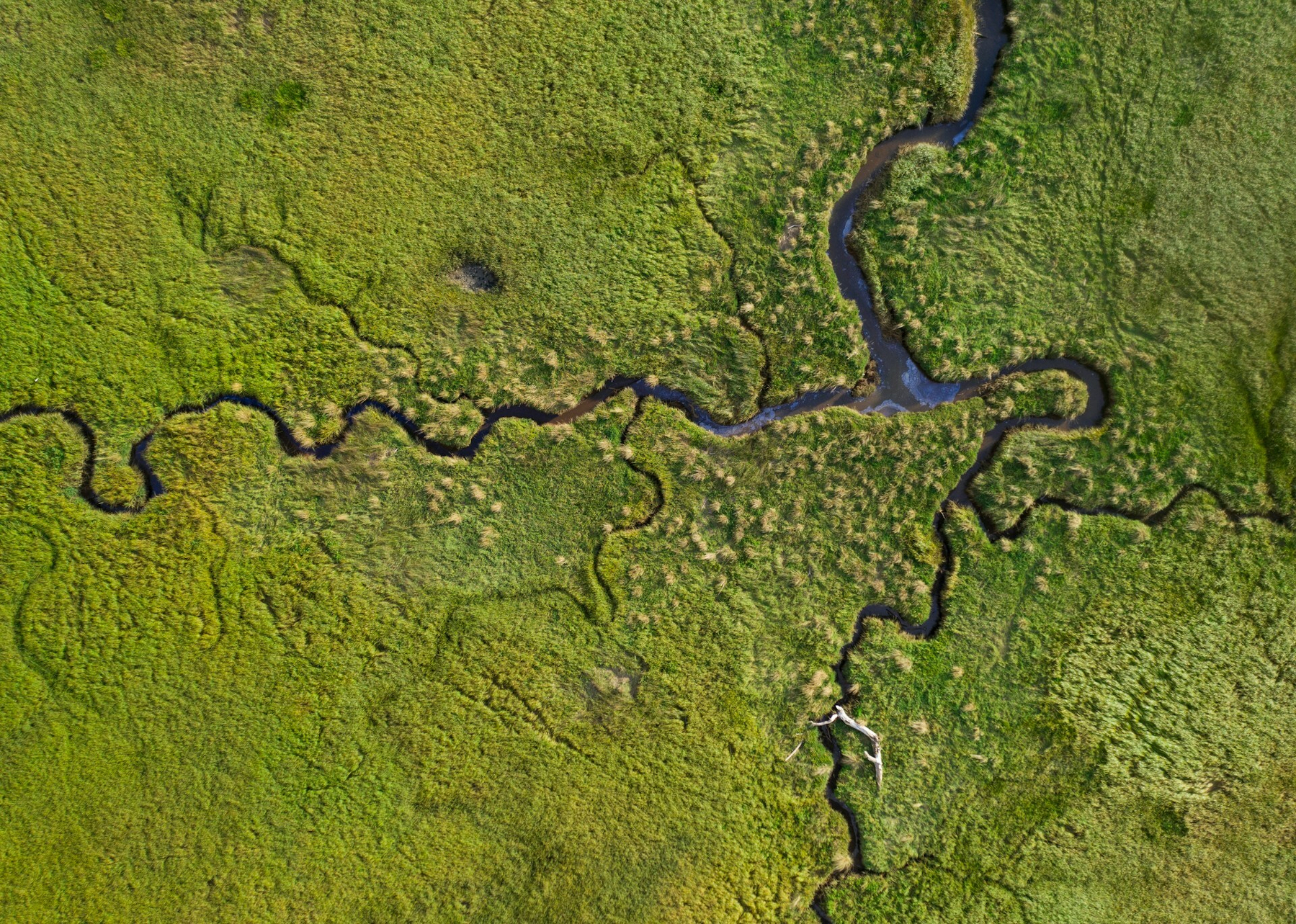 Auto-generated description: Aerial view of a lush green marshland with winding waterways.