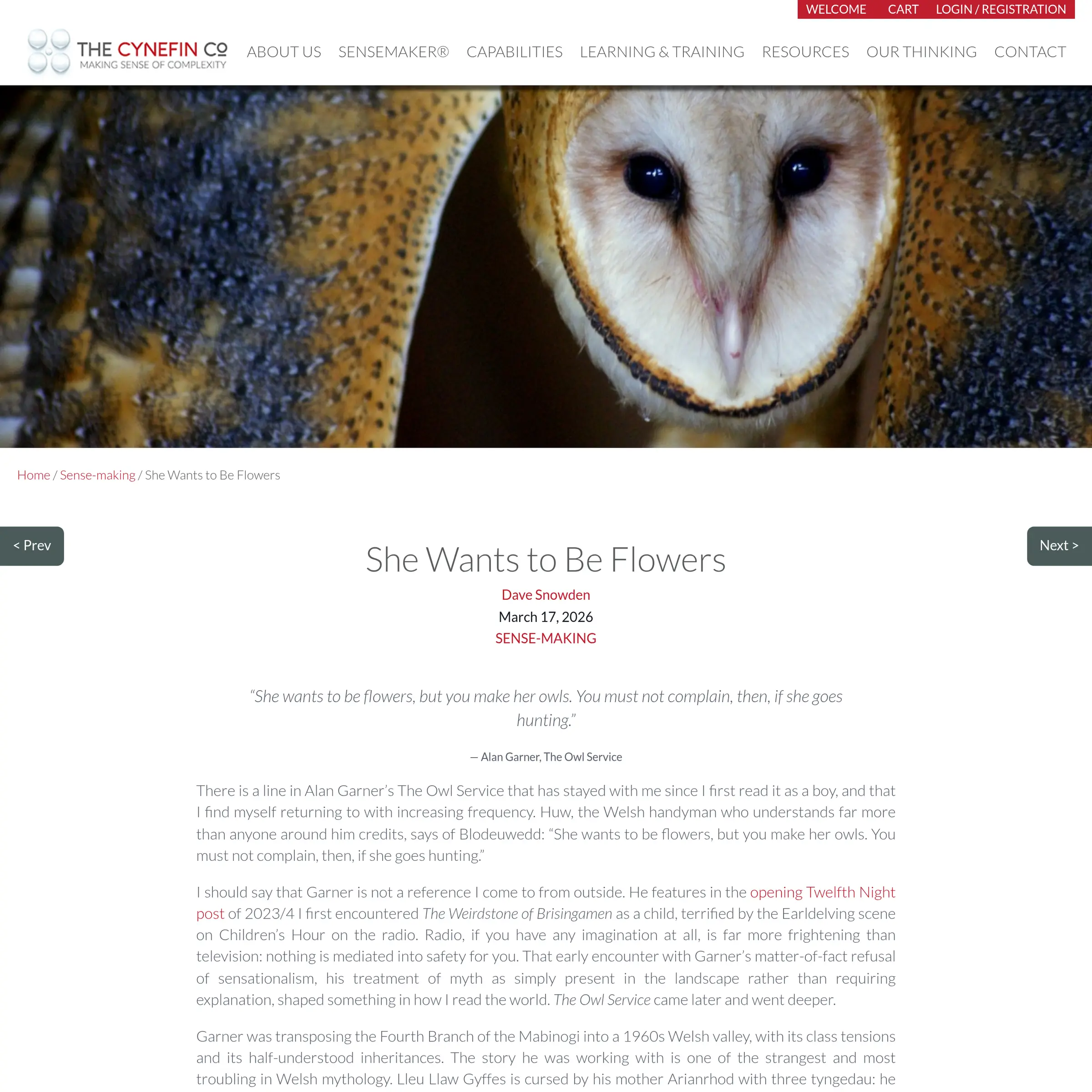 Auto-generated description: An owl is peeking out from a dark opening, surrounded by white and brown feathers.