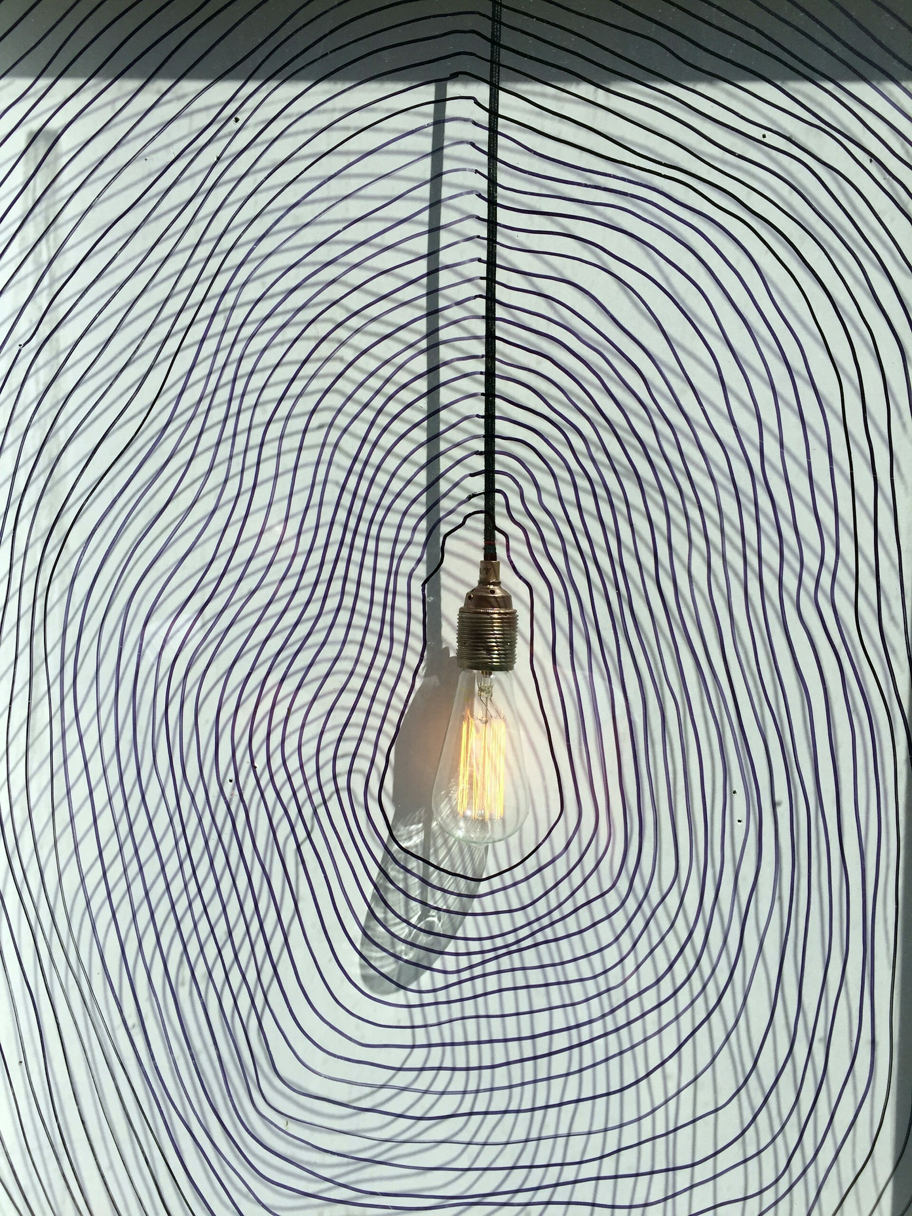 Auto-generated description: A vintage-style light bulb hangs against a wall with concentric black lines creating an optical illusion.