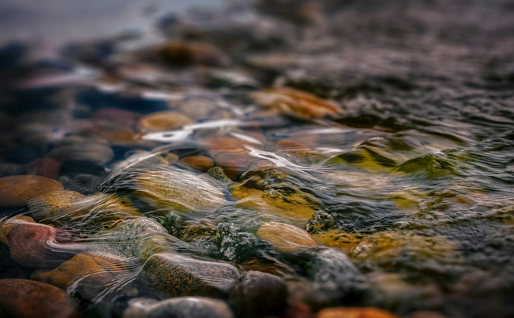 Auto-generated description: Clear water gently flows over colorful, rounded stones in a streambed.