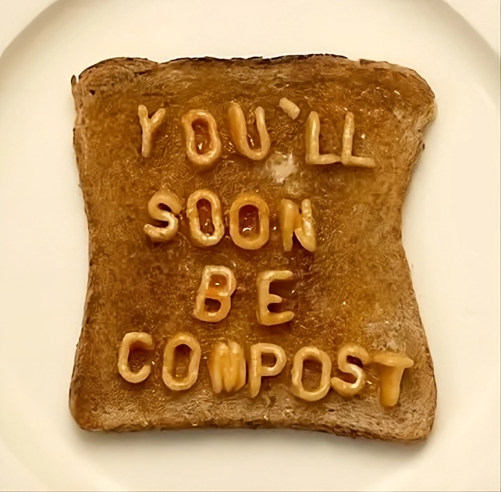 Auto-generated description: A slice of toast has the words YOU'LL SOON BE COMPOST written on it with alphabet pasta.