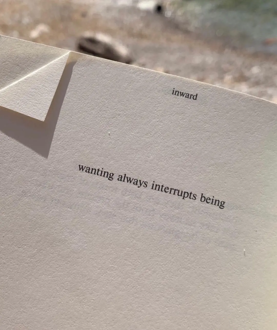 Auto-generated description: A book with the text wanting always interrupts being is open at the beach, with sand and water in the background.