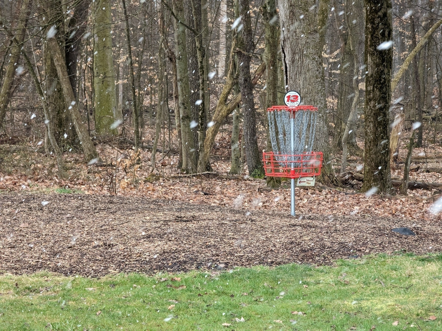 A red disc golf basket in front of trees with blurry snowflakes speeding through the frame.