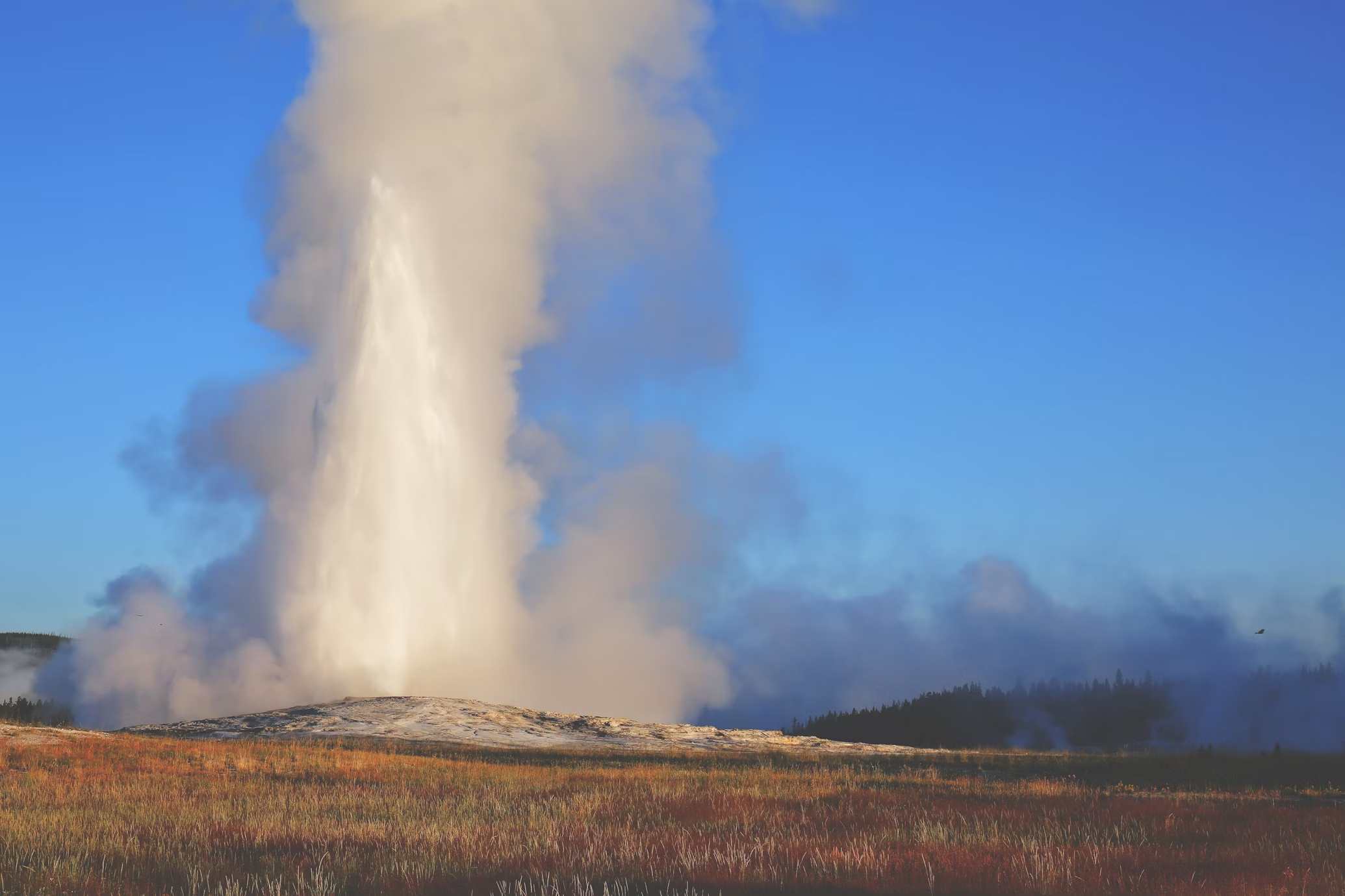 A geyser erupts.