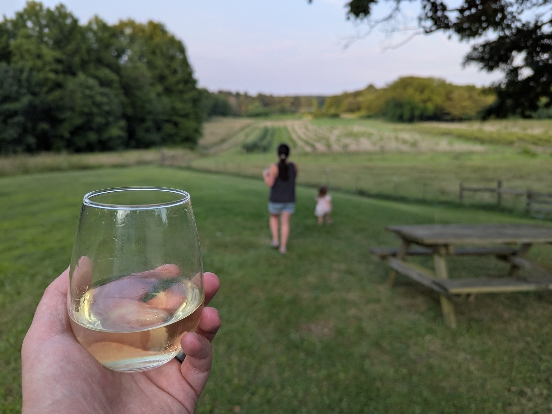 A hand holding a glass of white wine is in the foreground while a mom and a child walk towards a grassy field in the background.