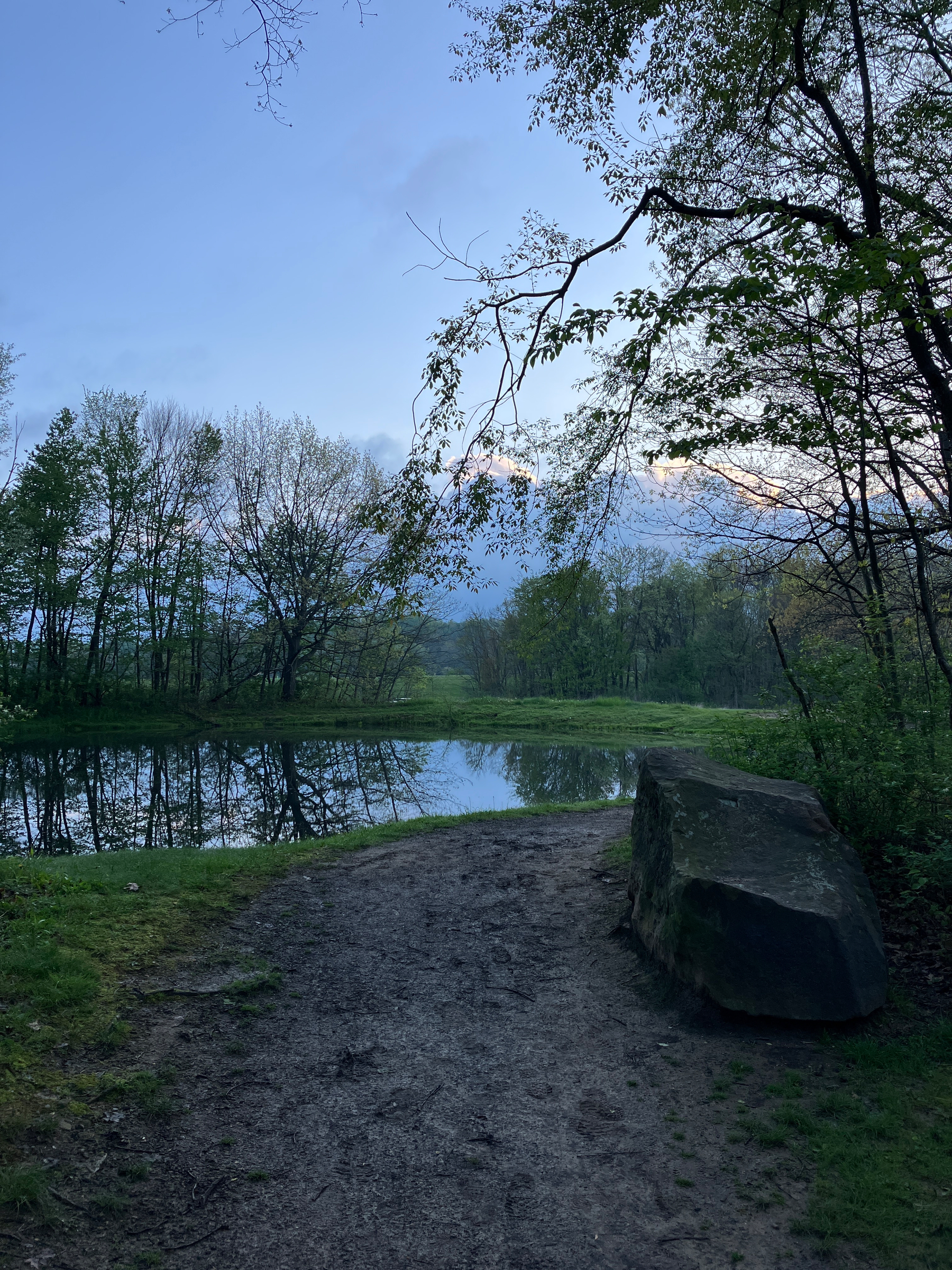 A serene pathway beside a tranquil body of water is surrounded by trees under a clear blue sky at dusk.