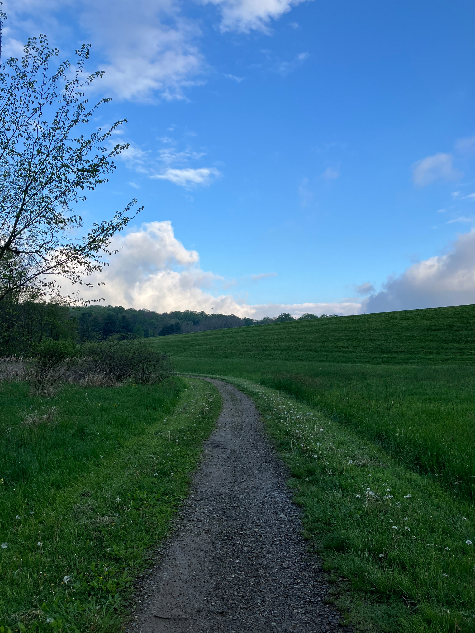A narrow path winds through a lush green meadow under a clear blue sky with scattered clouds.