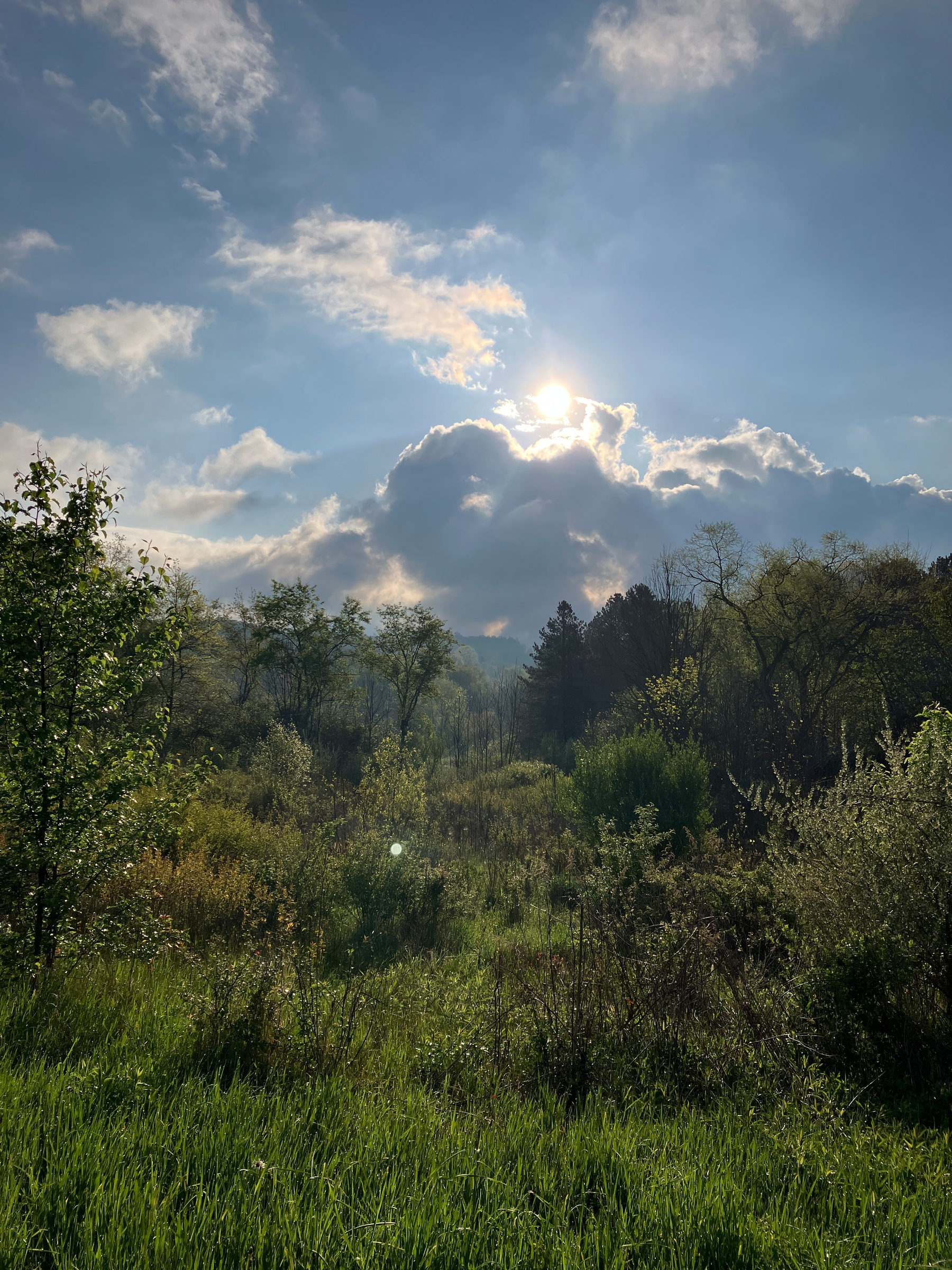 A scenic landscape of a lush, grassy field with trees under a partly cloudy sky, where the sun is breaking through the clouds.