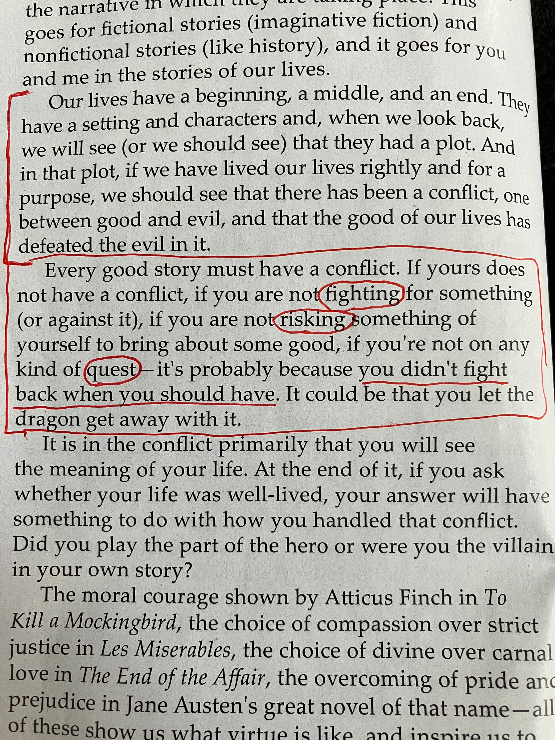 The excerpt discusses the elements of a good story, emphasizing the necessity of conflict, risk-taking, and fighting for what is right, metaphorically warning not to let the dragon get away.
