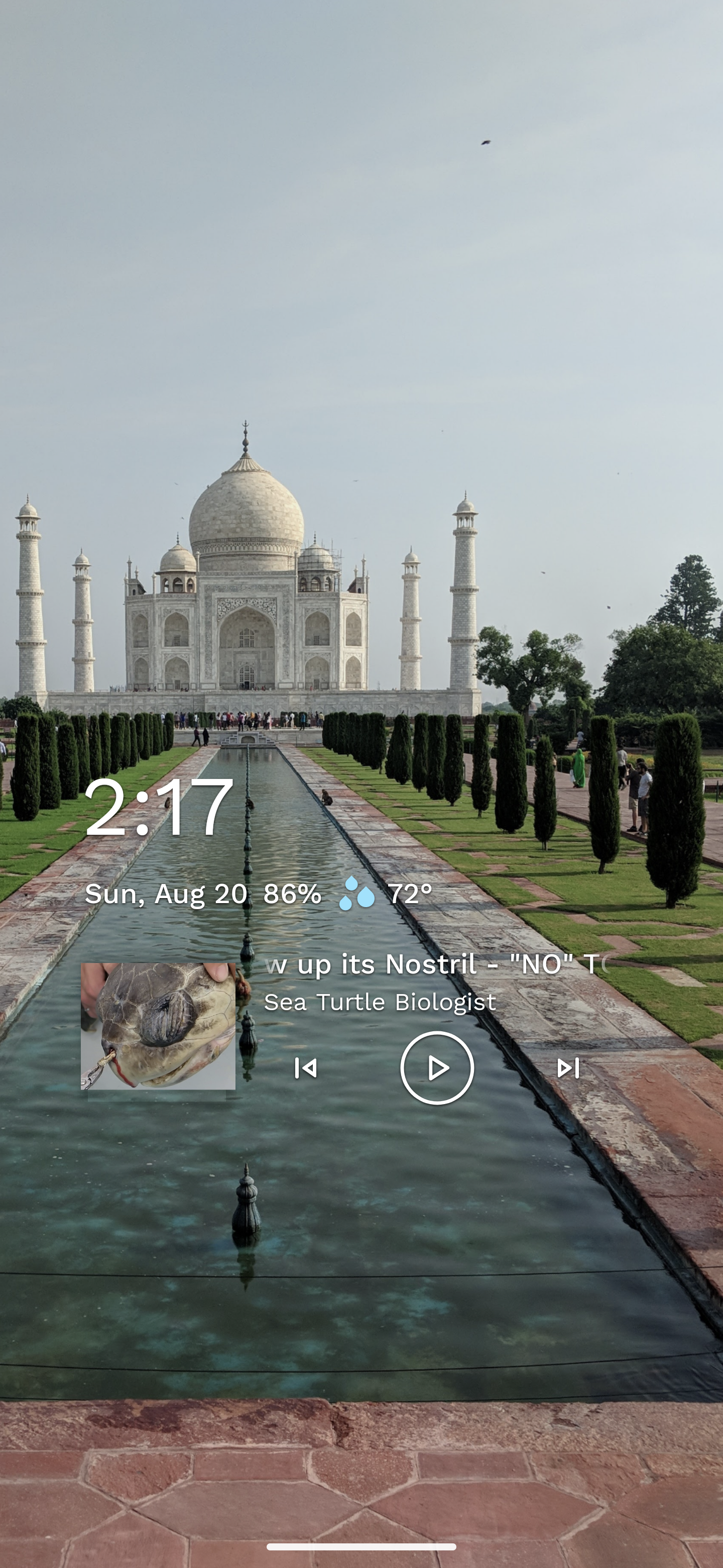 Screenshot of home screen. A personal photo of the Taj Mahal with a Now Playing widget overlaid. 