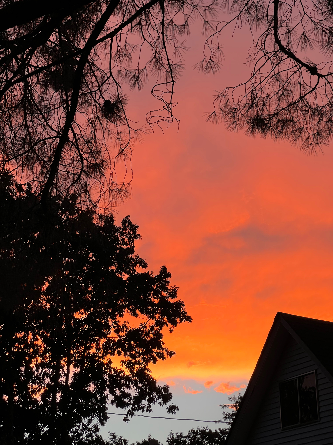 Sunset with clouds and gradients of red, orange, yellow, gold, blue with silhouetted trees and houses in the lower foreground.