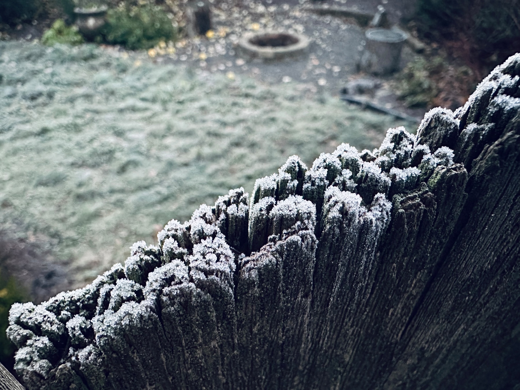 Frost on the top of rustic vertical boards with frosted grass in the background.
