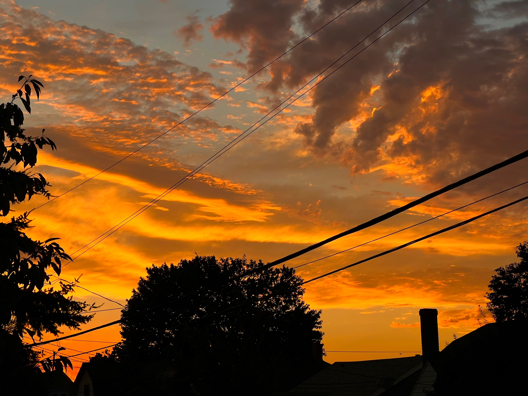 Sunset with patchy clouds and gradients of yellow, orange, gold, blue with silhouetted trees and houses in the lower foreground.