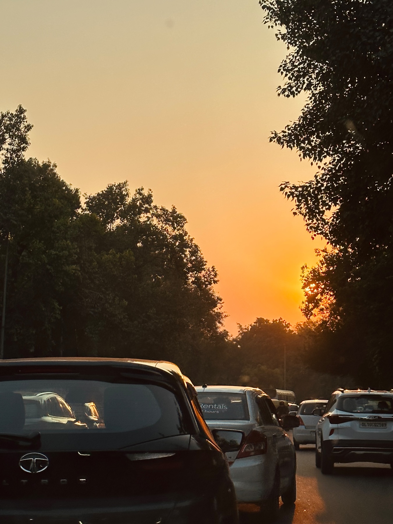 Golden hour sunlight through a hazy sky with trees silhouetted in the distance and cars in the foreground.