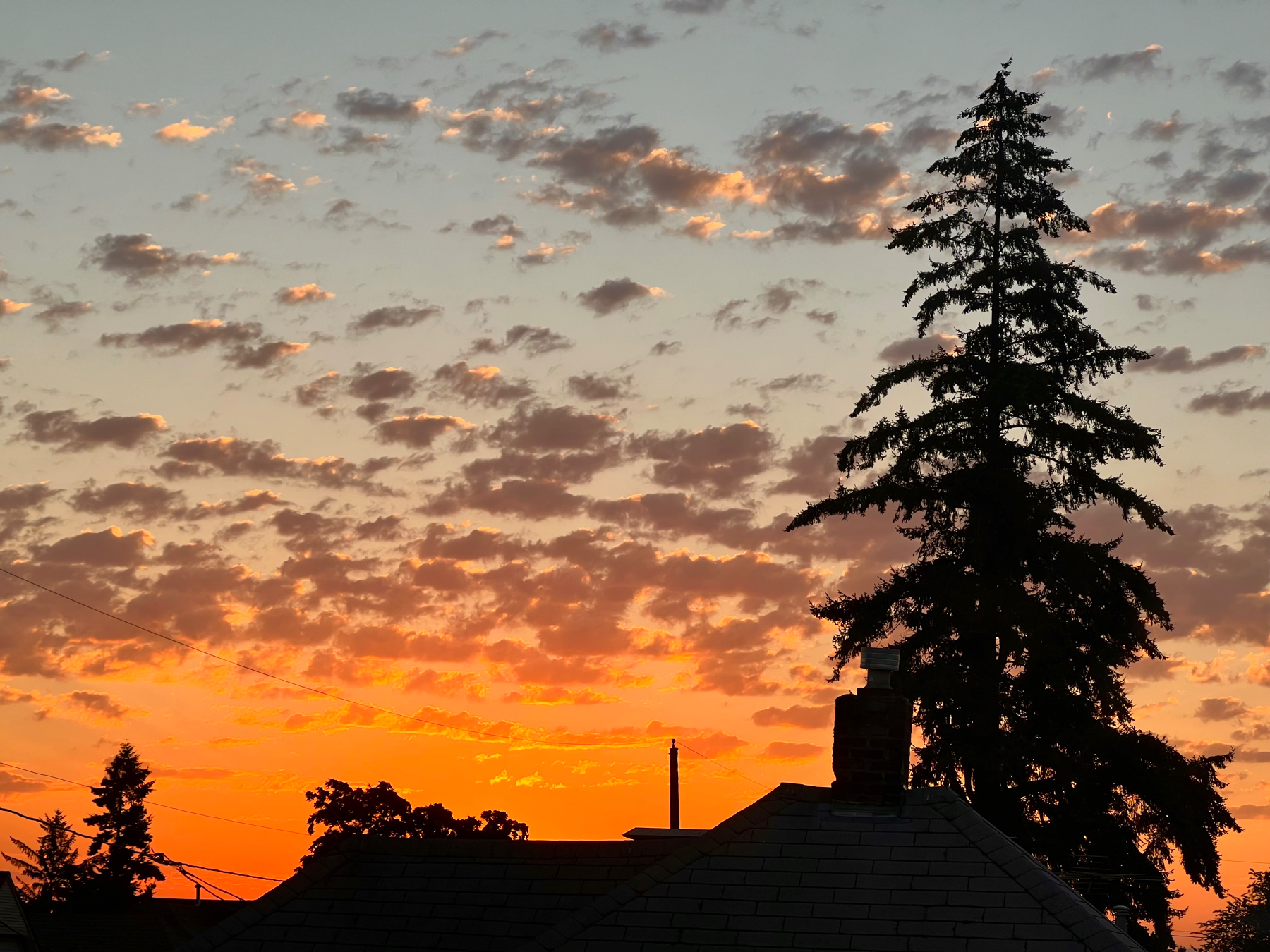 Sunrise with patchy clouds and gradients of red, orange, yellow, gold, blue with silhouetted trees and houses in the lower foreground.