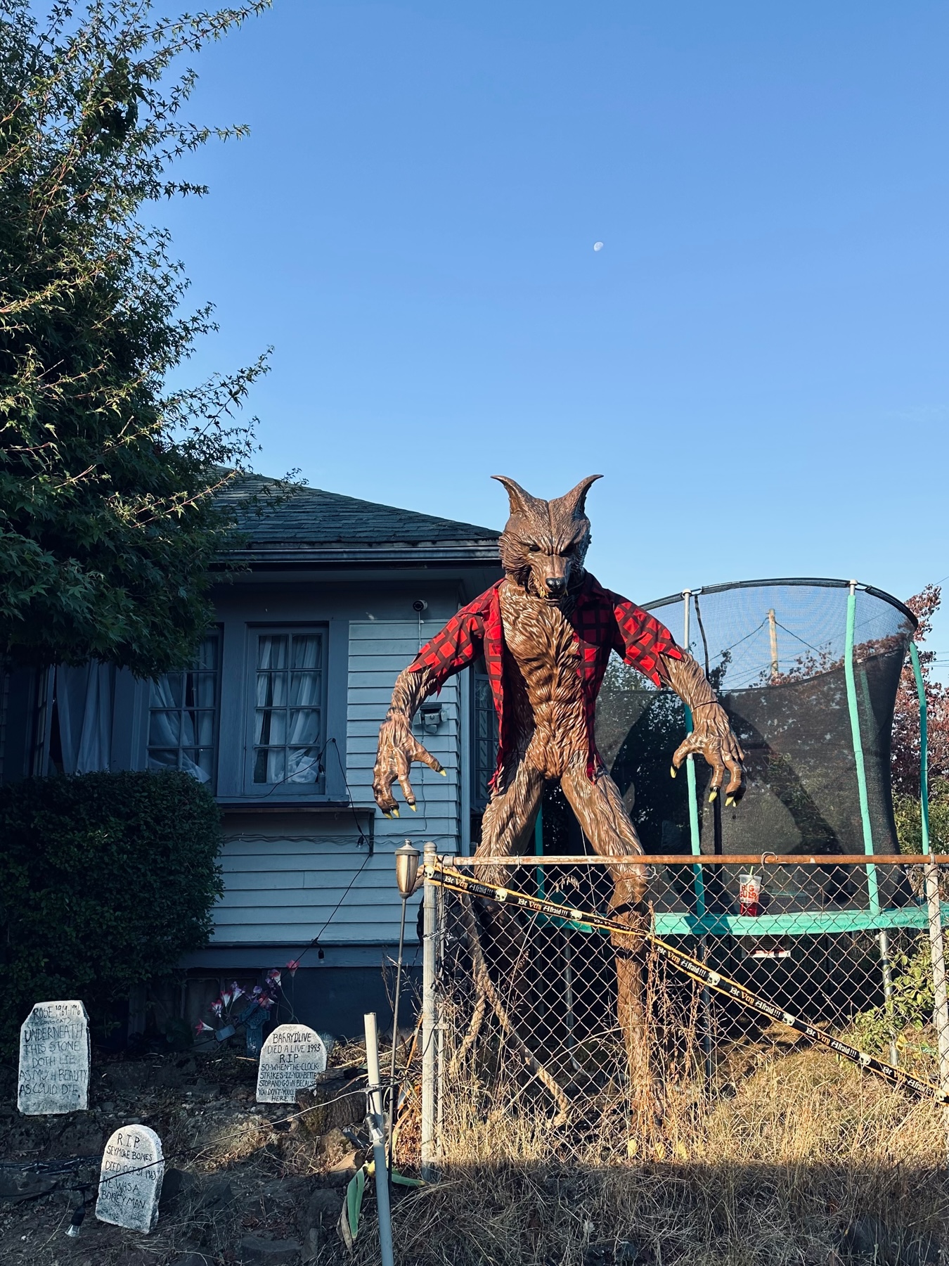 A tall werewolf decoration in a yard that reaches to the roofline of the house behind it, with a mostly full moon in the morning sky behind.