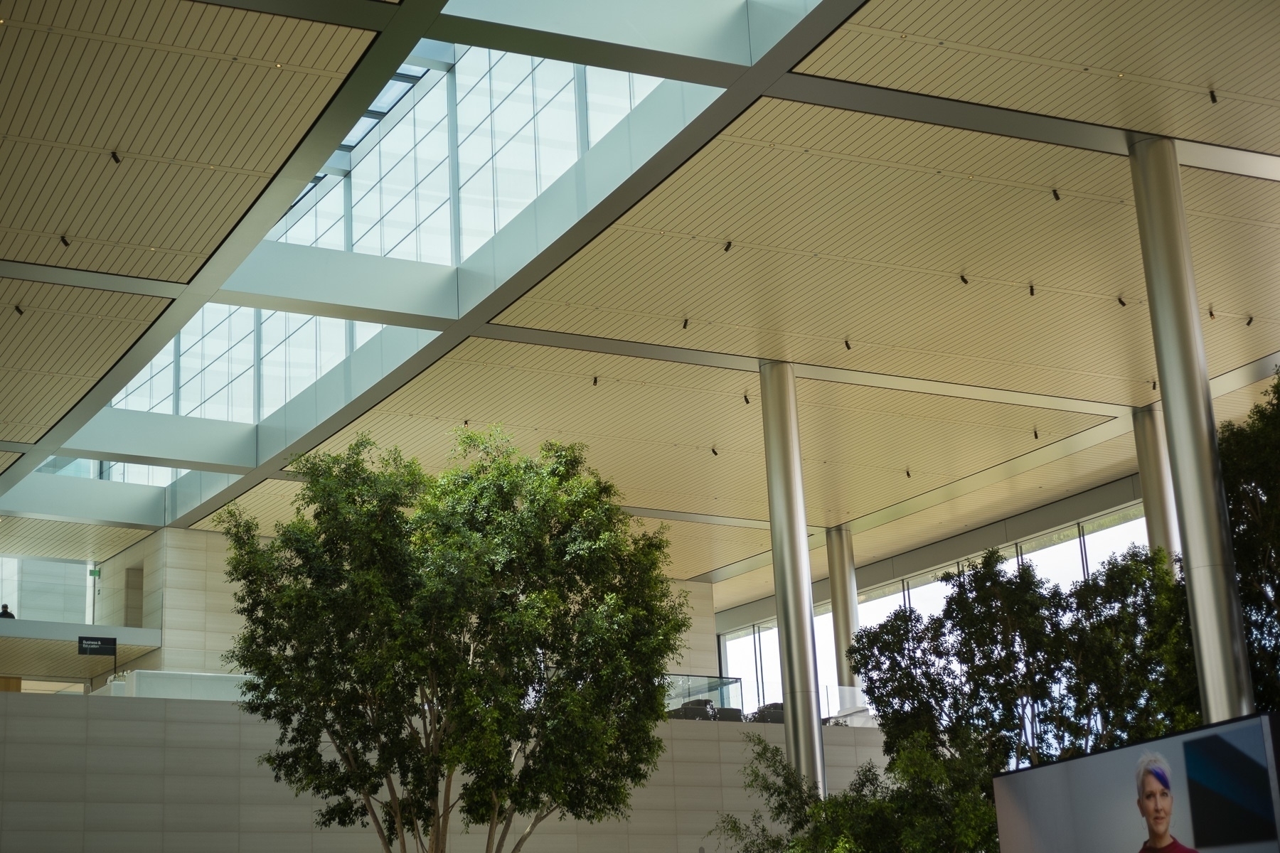 Curved ceilings and windows let in sunlight high above the hall. The tops of steel pillars and indoor trees are also visible.