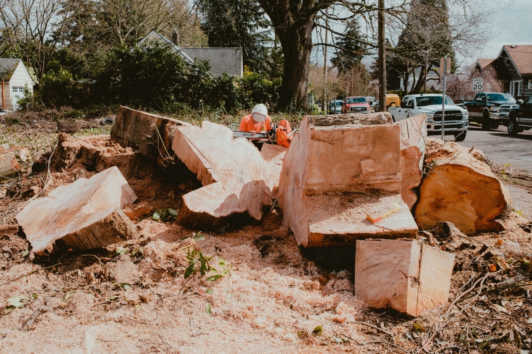 A man in workwear examines a chainsaw seated within a pile of large chopped up tree trunk pieces.