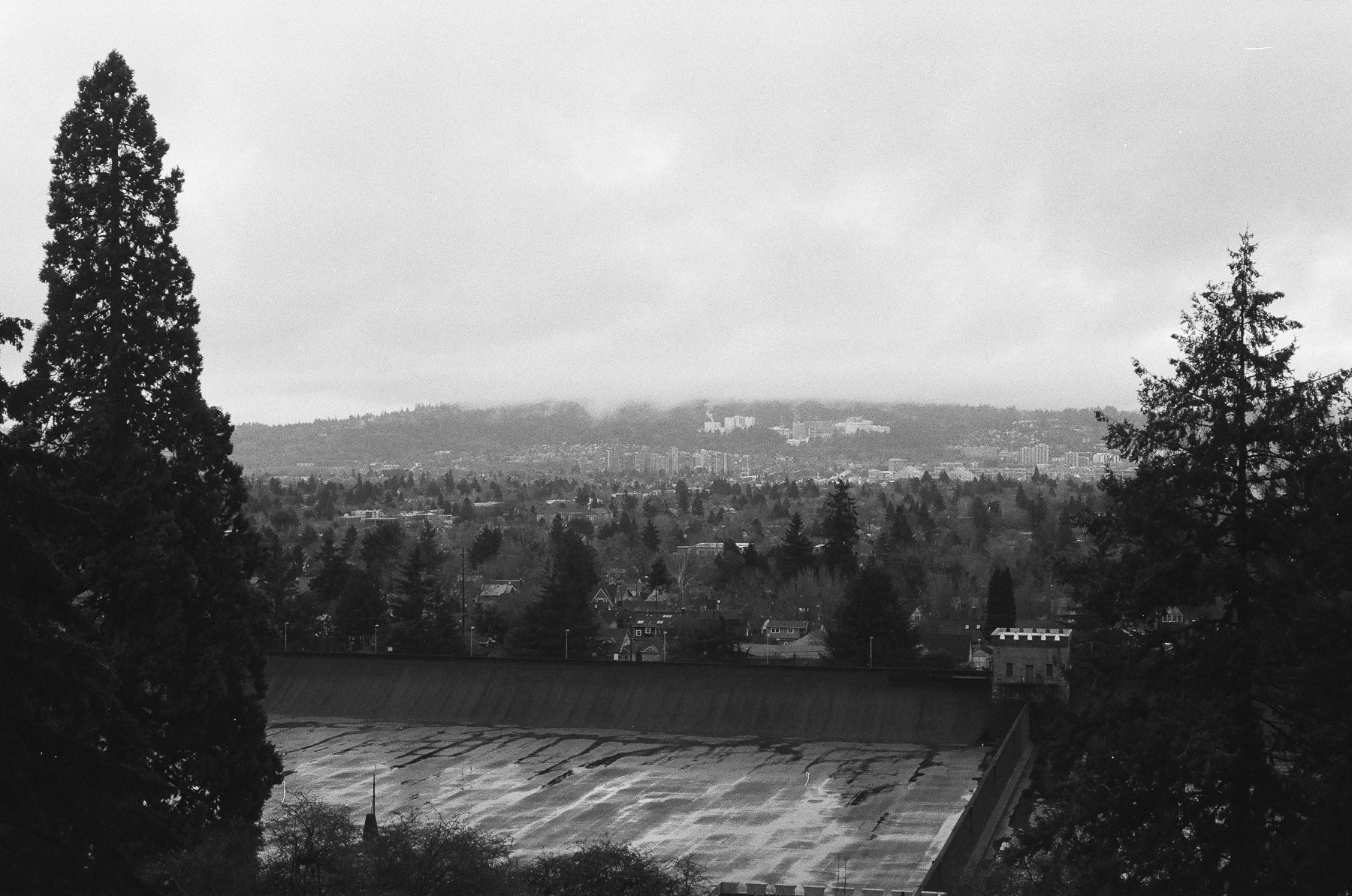 Grainy black and white film photo of an empty reservoir in the distance framed by two tall trees and with an expansive view of trees and city skyline with clouds above behind it.