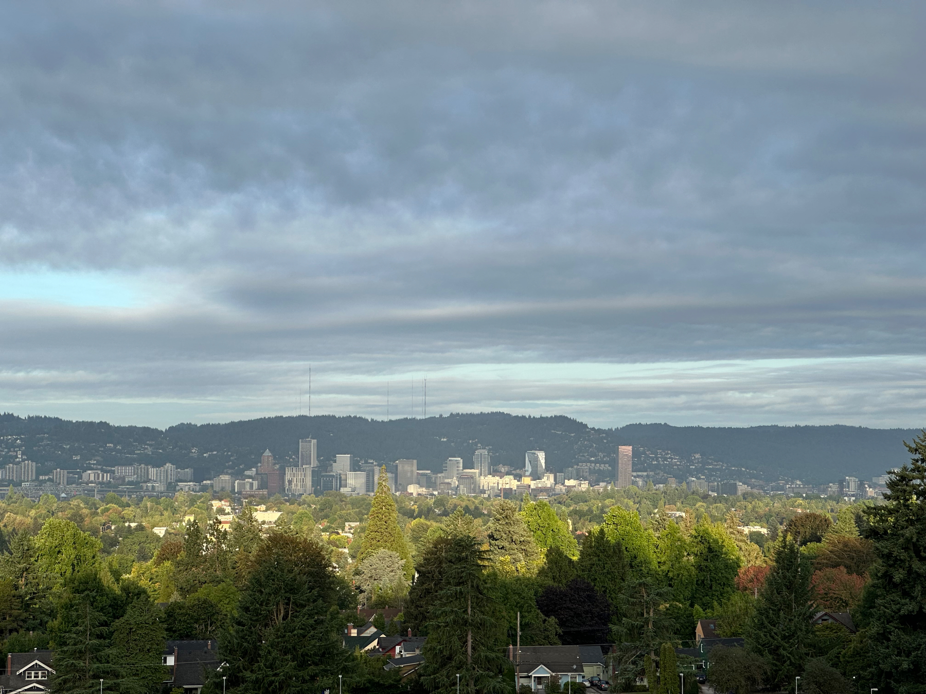 View of downtown buildings in the distance, there’s gray clouds above with a hint of blue sky, and tall green trees in the foreground.