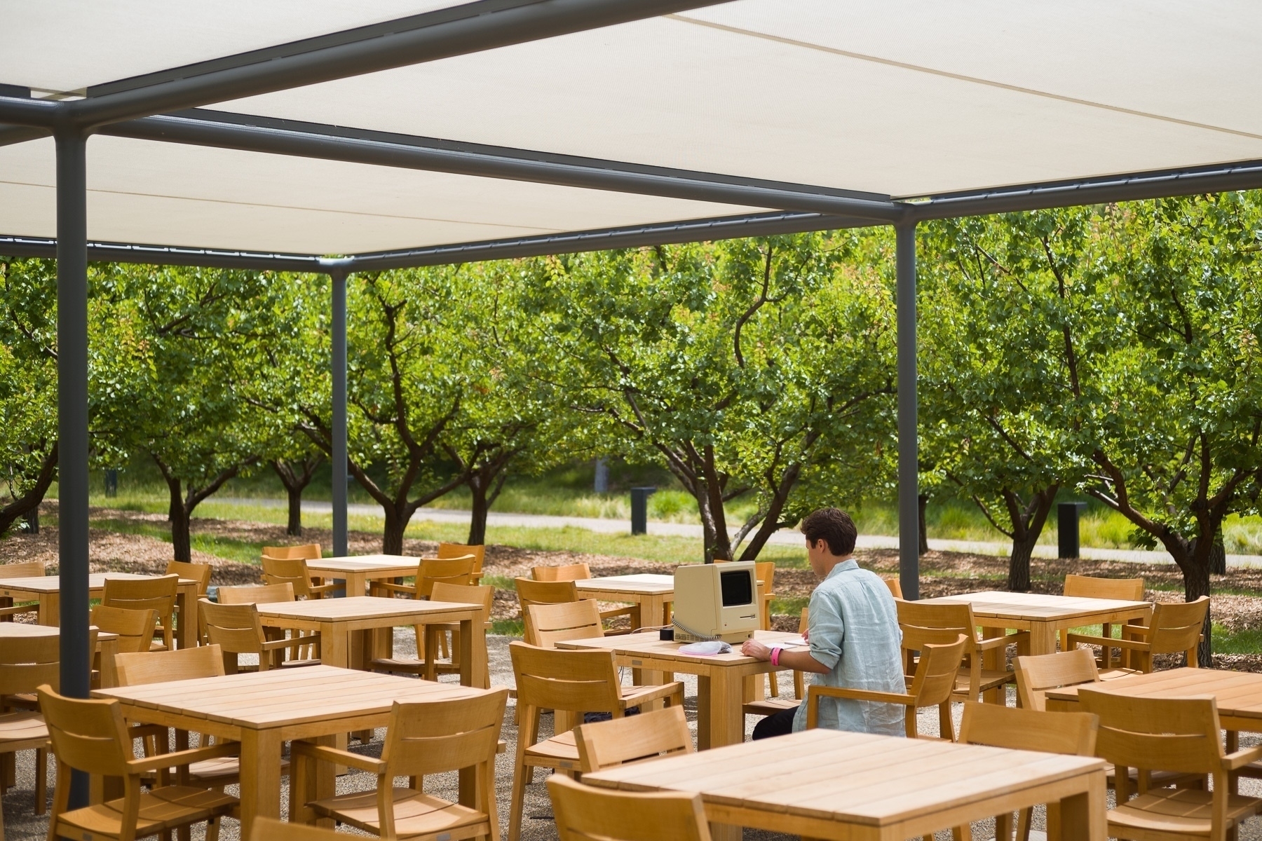 A young man is sitting at a table outdoors under a shade structure. He is using an Apple computer from thirty to forty years ago. He is surrounded by other similar tables which are all empty. In the background are a bunch of fruit trees.