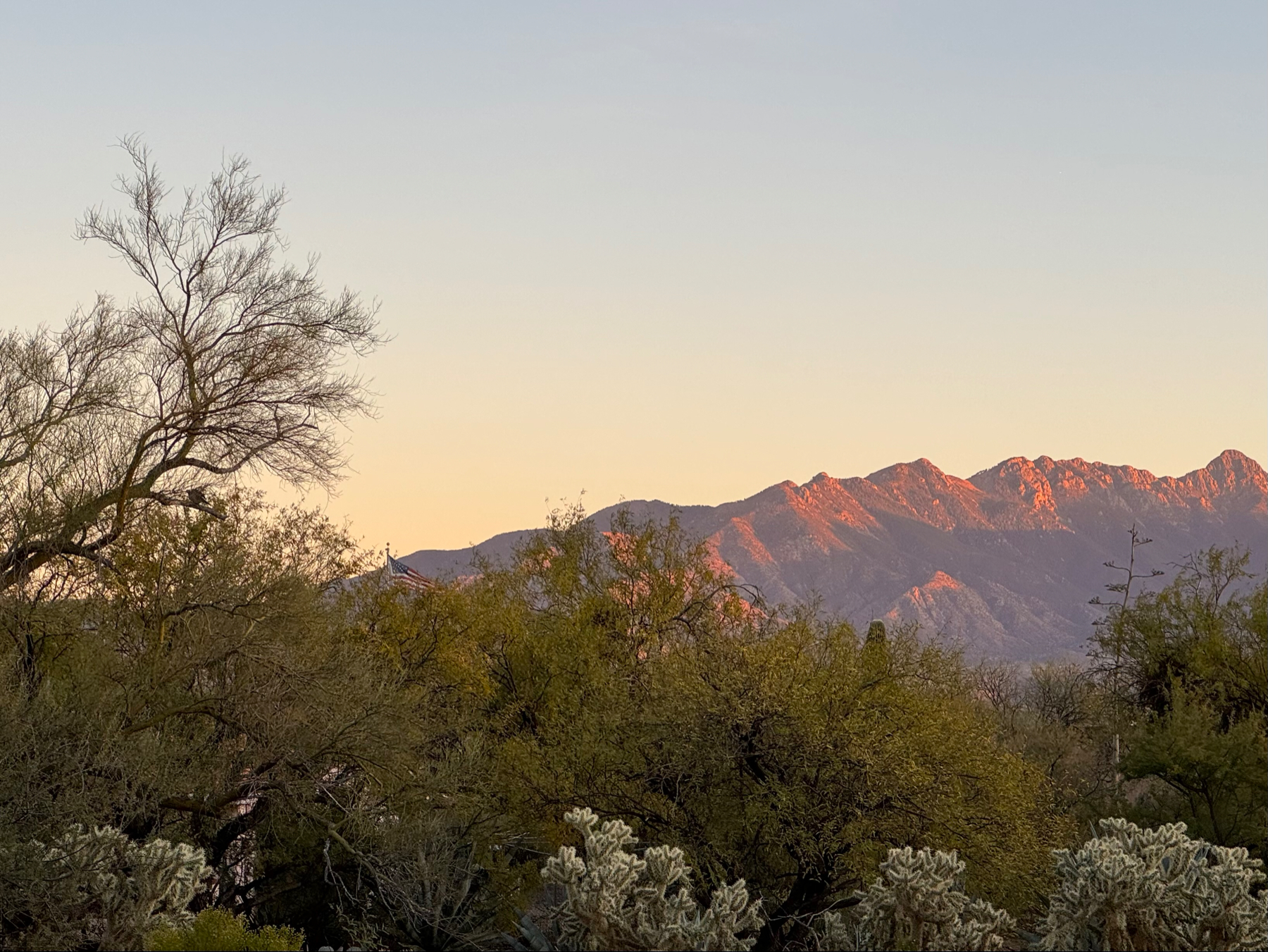 Sunset over mountain range with trees and cacti in the foreground.
