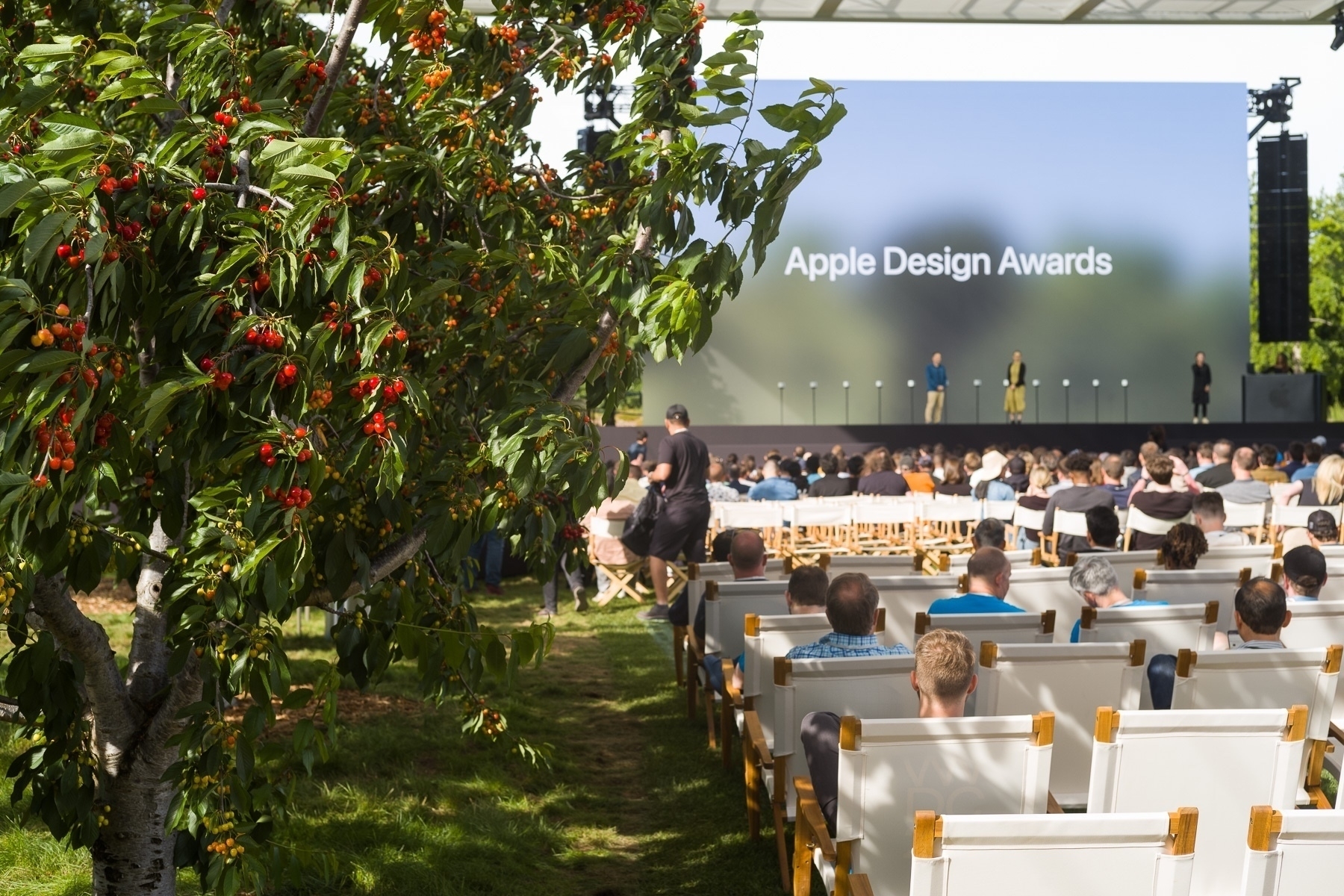 On the left is a cherry tree with ripe cherries. On the right are some chairs with people sitting on them as seen from behind. In the distance is a stage with three people and a screen that says “Apple Design Awards”.