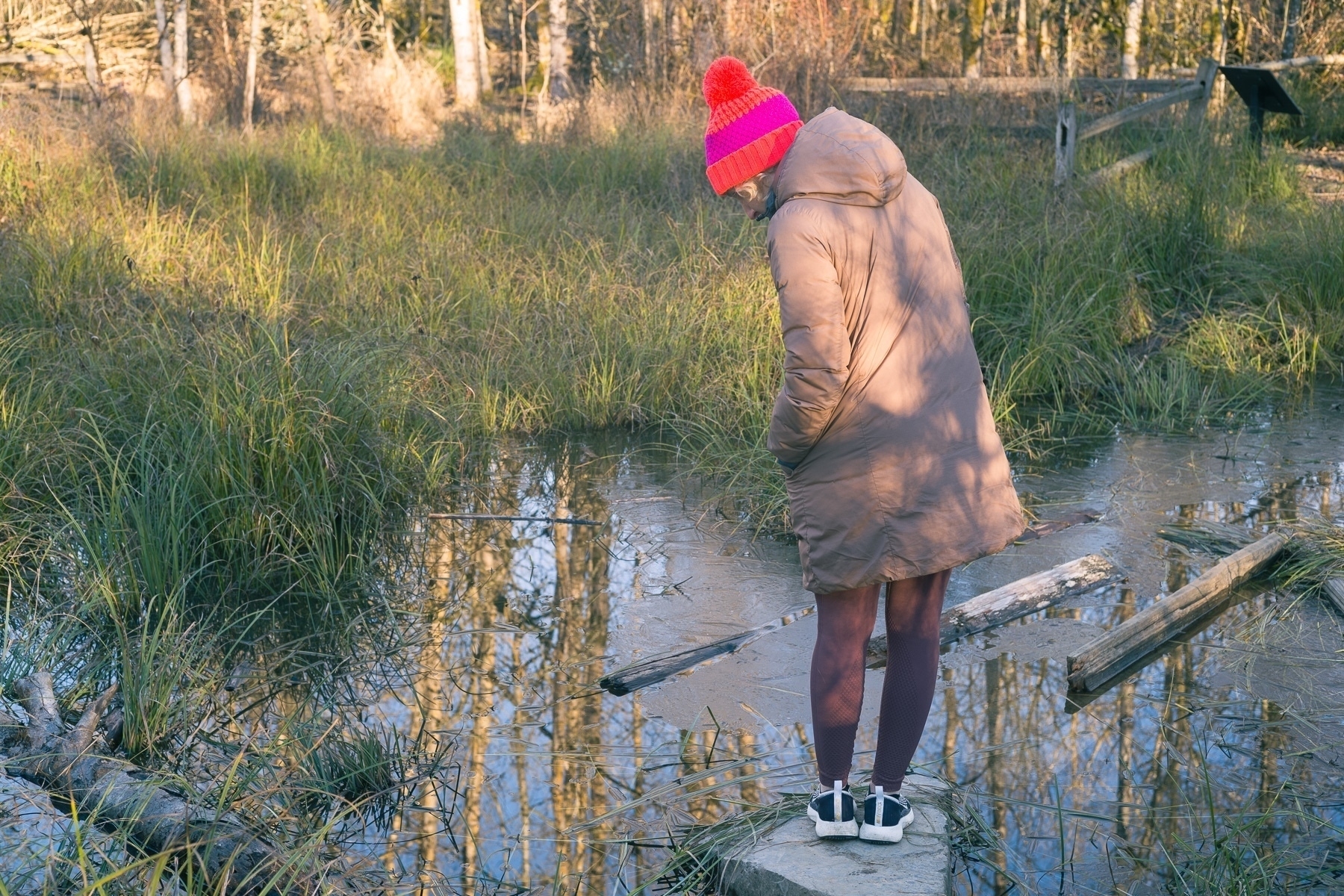 A woman stands on a rock on the edge of a pond. She’s dressed for a freezing cold day. There’s green grass in parts of the pond and trees behind which are reflected in the pond. Everything is lit with sunlight and shadows.