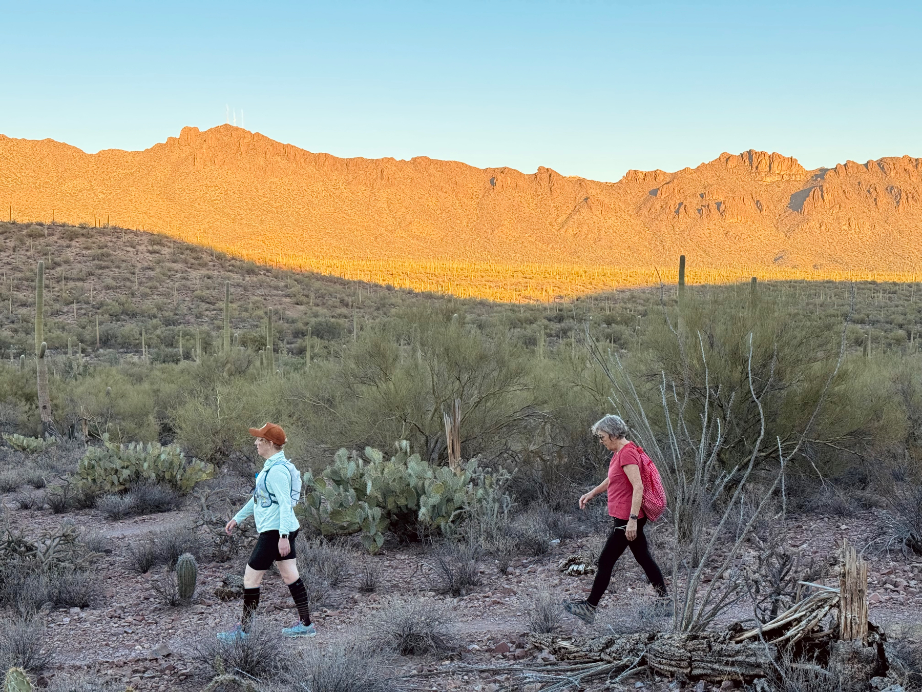 Two hikers trekking through a desert landscape with saguaro cacti, brush, and a mountain range in the background bathed in the warm sunlight of the setting Sun.
