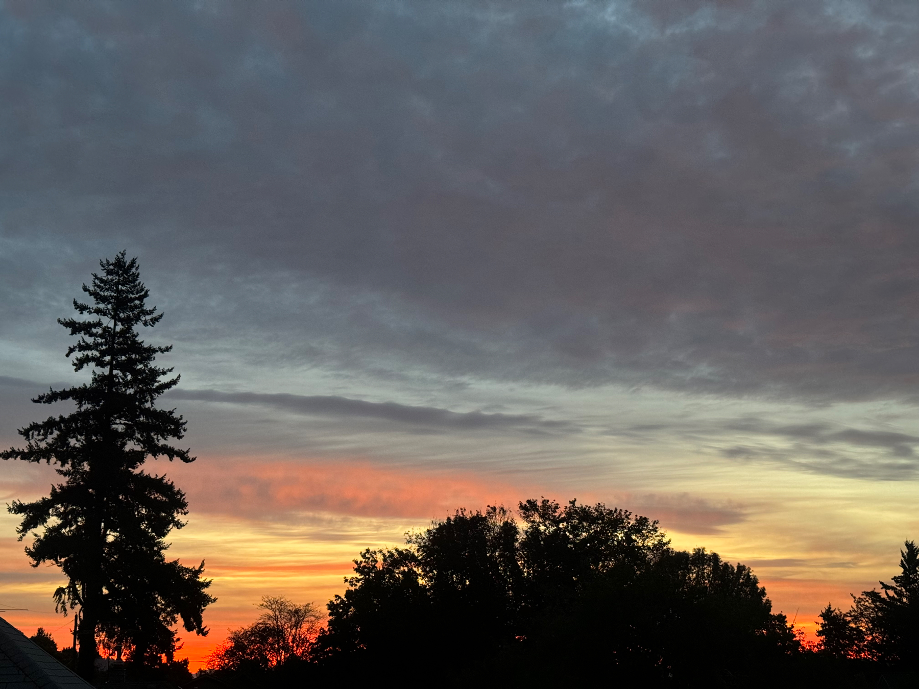 Silhouette of trees in the foreground. Orange to yellow to gray hues rising into the cloudy sky from the horizon.