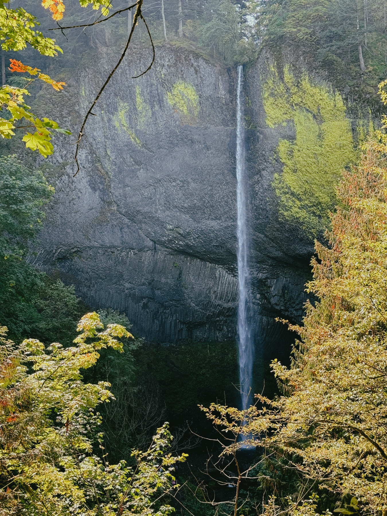 A tall thin waterfall backed by a large gray rock wall. Trees with fall colors in the foreground.