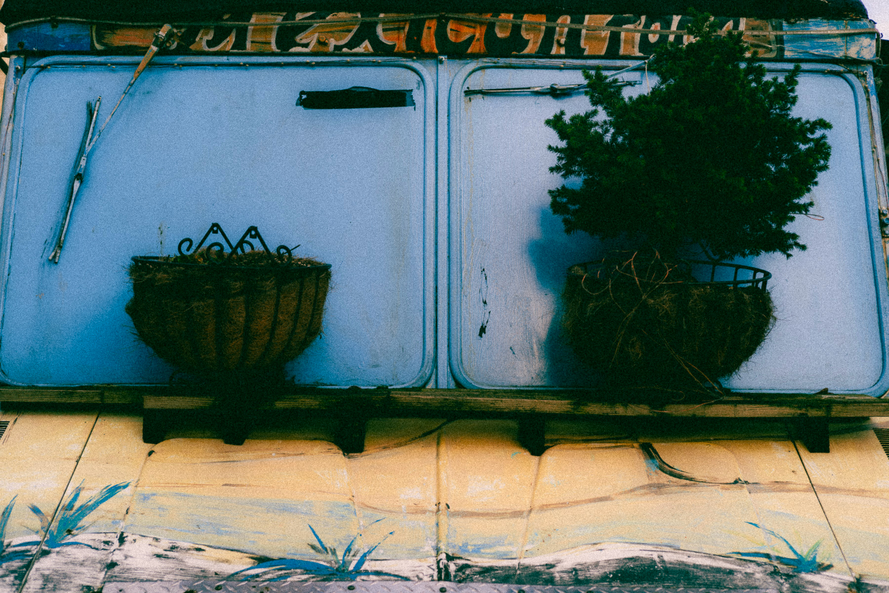 Two potted plants placed on a makeshift windshield ledge of a truck with faded blue paint on the glass, and yellow lower section, with a sign above that reads, “Mexican food”.