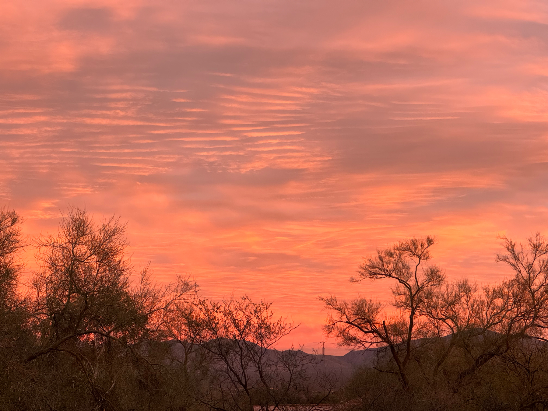 A vibrant sunset with orange and pink hues in the sky, featuring cloud patterns above a silhouette of tree tops and a distant mountain range.